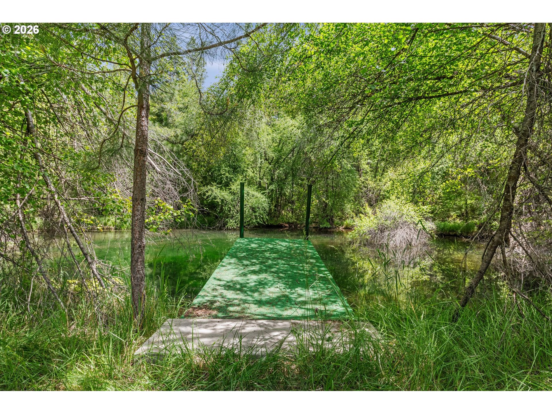 25855 Pine Creek Rd Property Photo 21