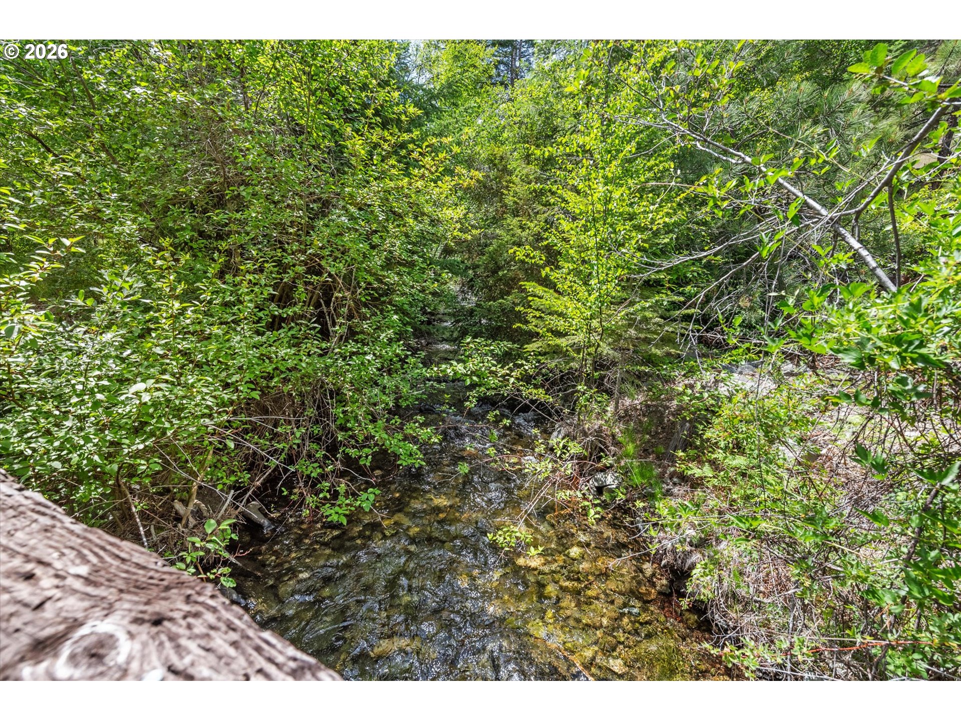 25855 Pine Creek Rd Property Photo 22