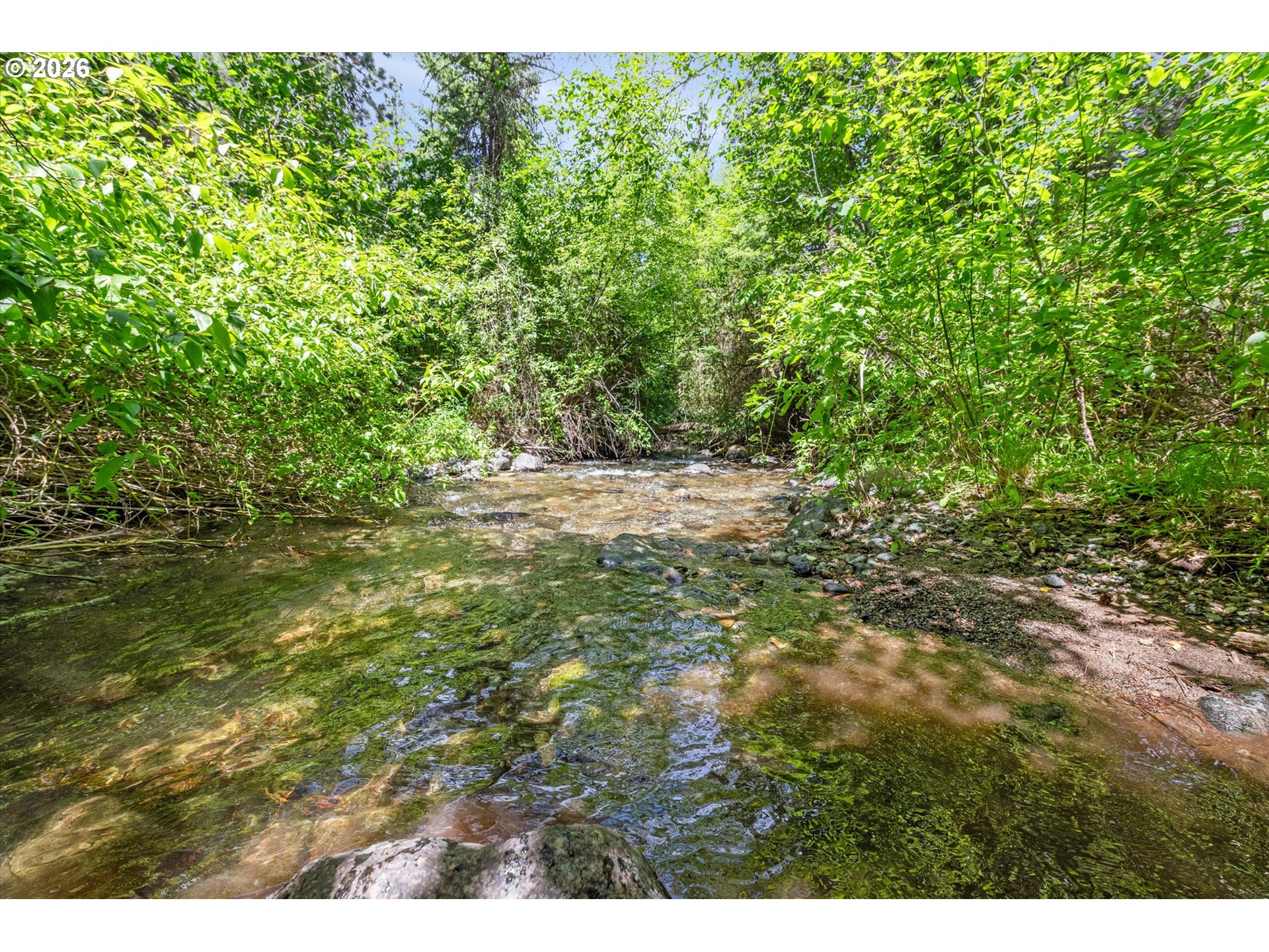 25855 Pine Creek Rd Property Photo 24