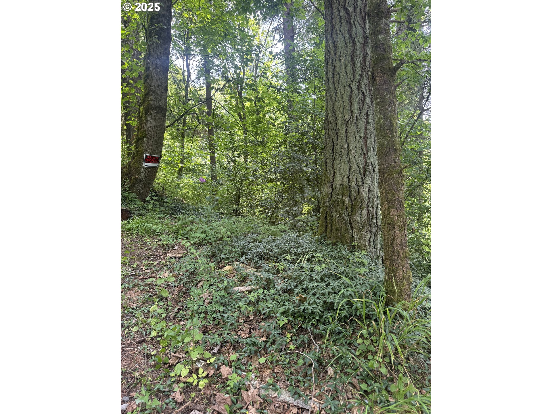 1278 Sw 27th Ct Property Photo 5