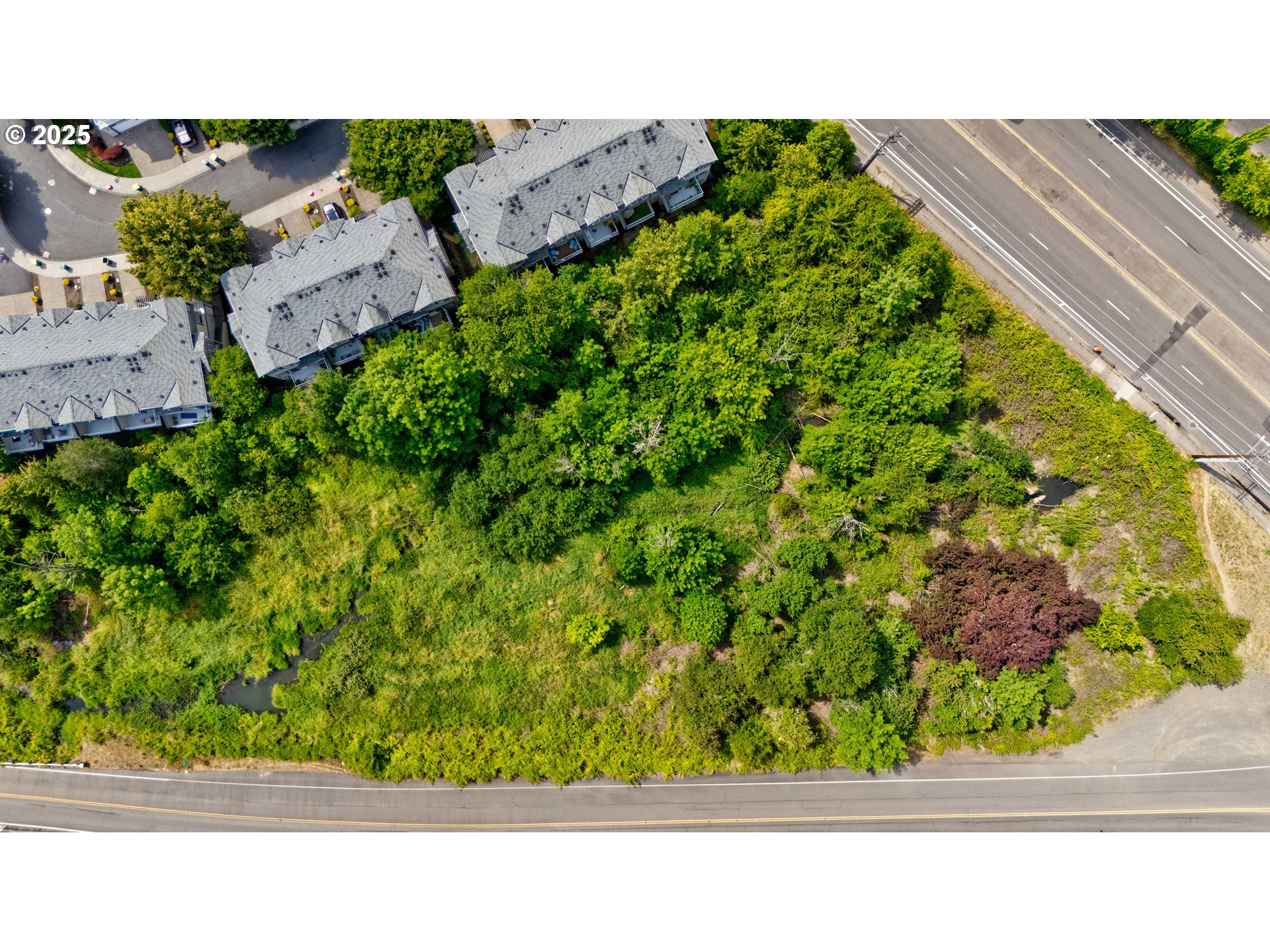 Sw Scholls Ferry Rd Property Photo 9