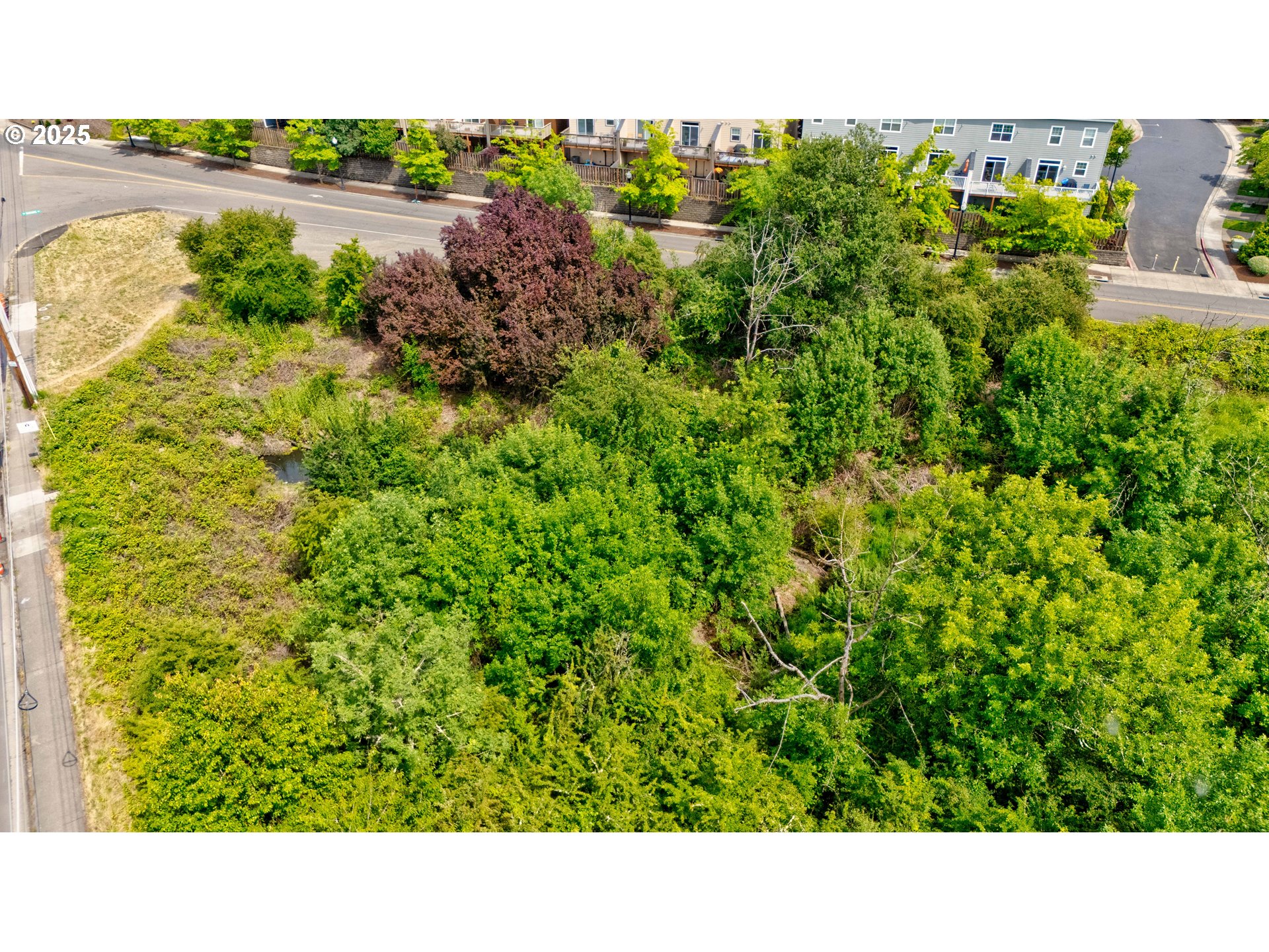 Sw Scholls Ferry Rd Property Photo 13