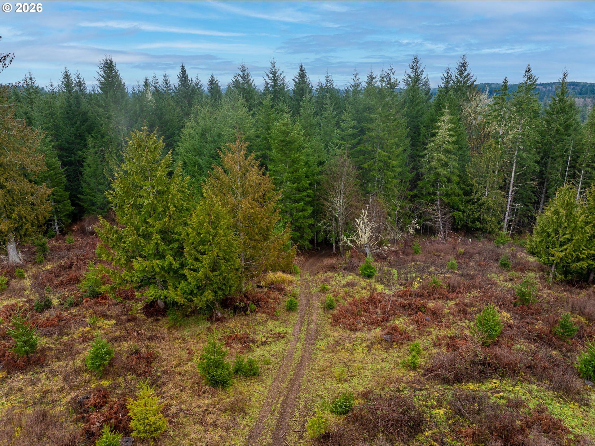 76382 Delena Mayger Rd Property Photo 6