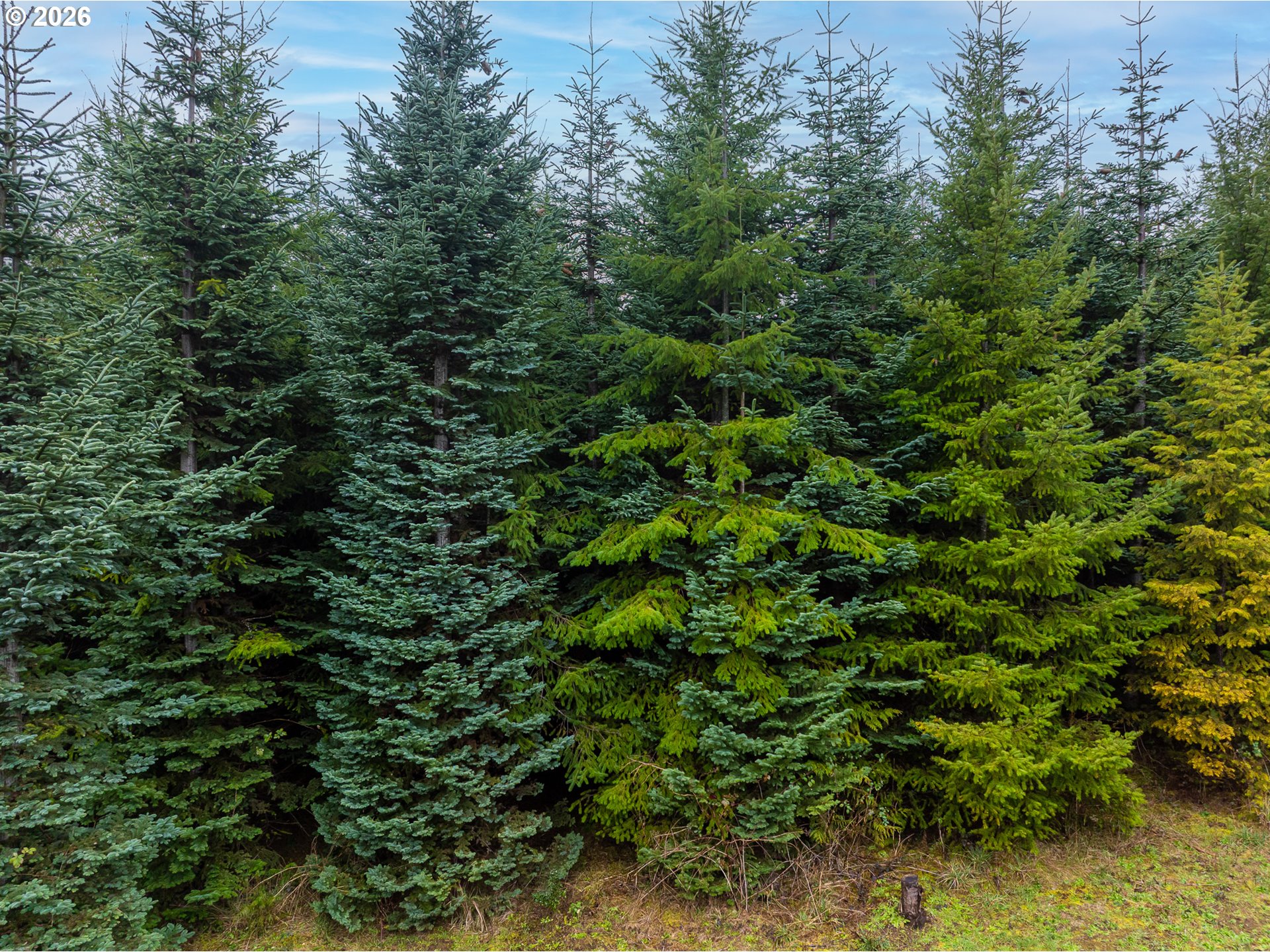 76382 Delena Mayger Rd Property Photo 10