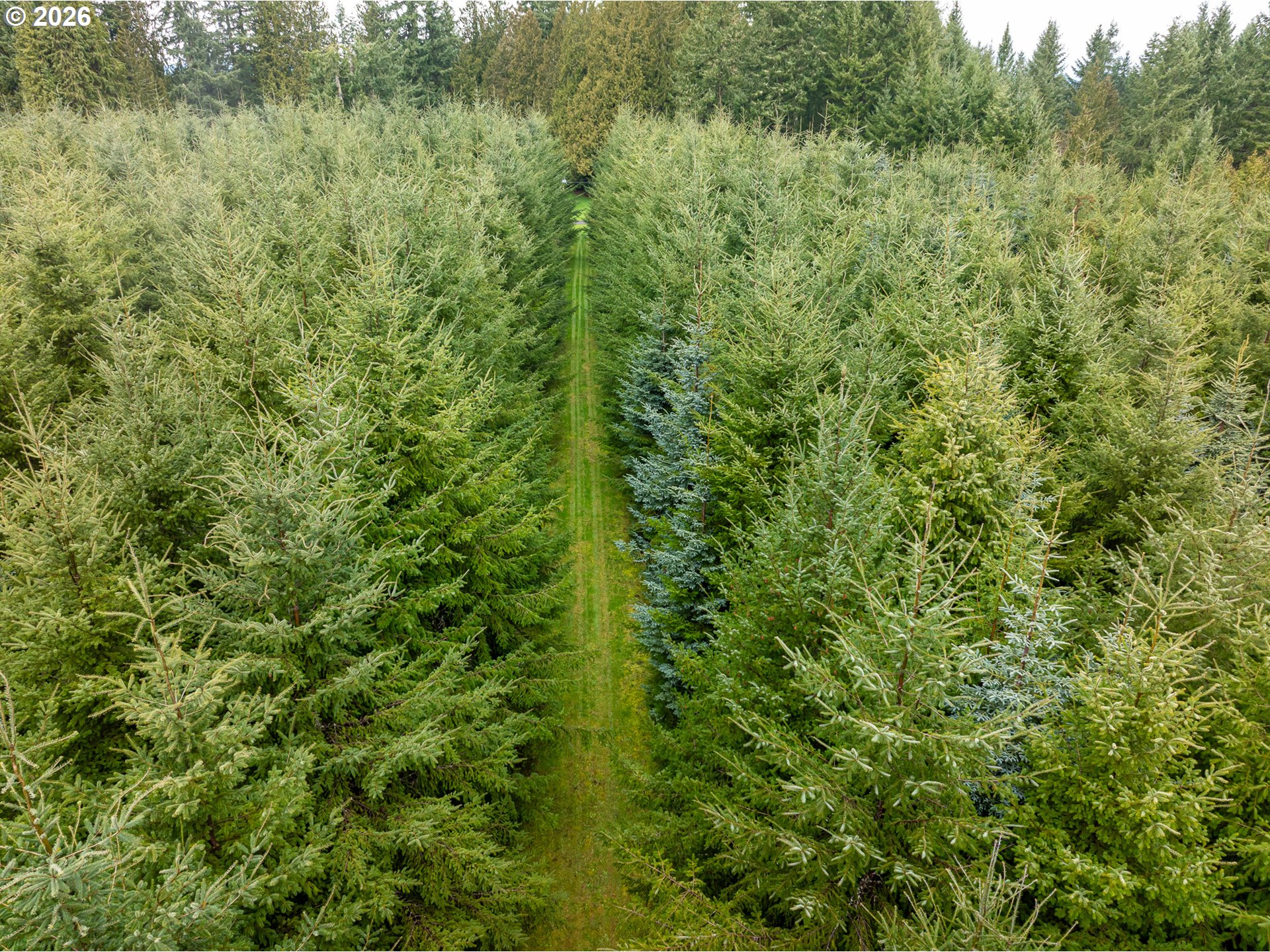 76382 Delena Mayger Rd Property Photo 12