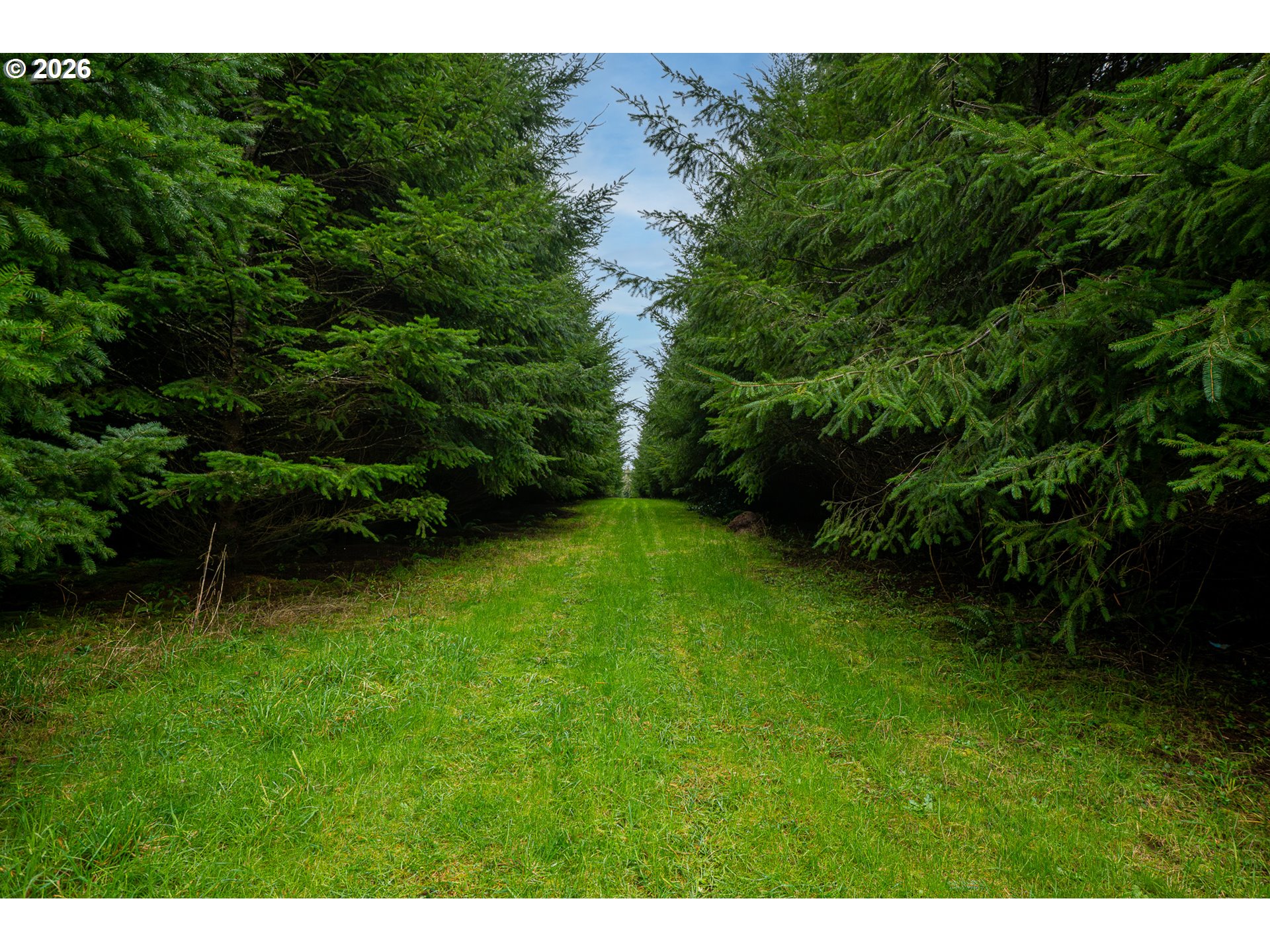 76382 Delena Mayger Rd Property Photo 13
