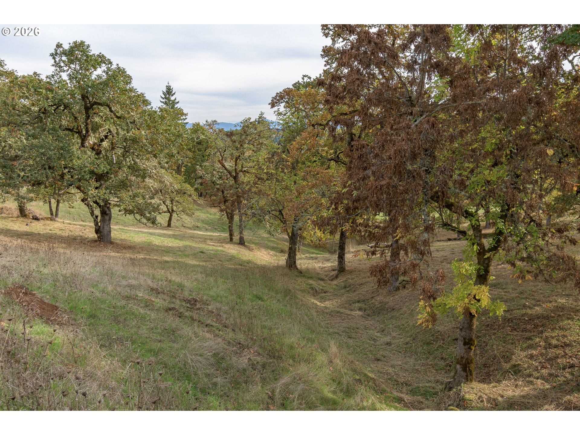 Hidden Meadows Property Photo 3