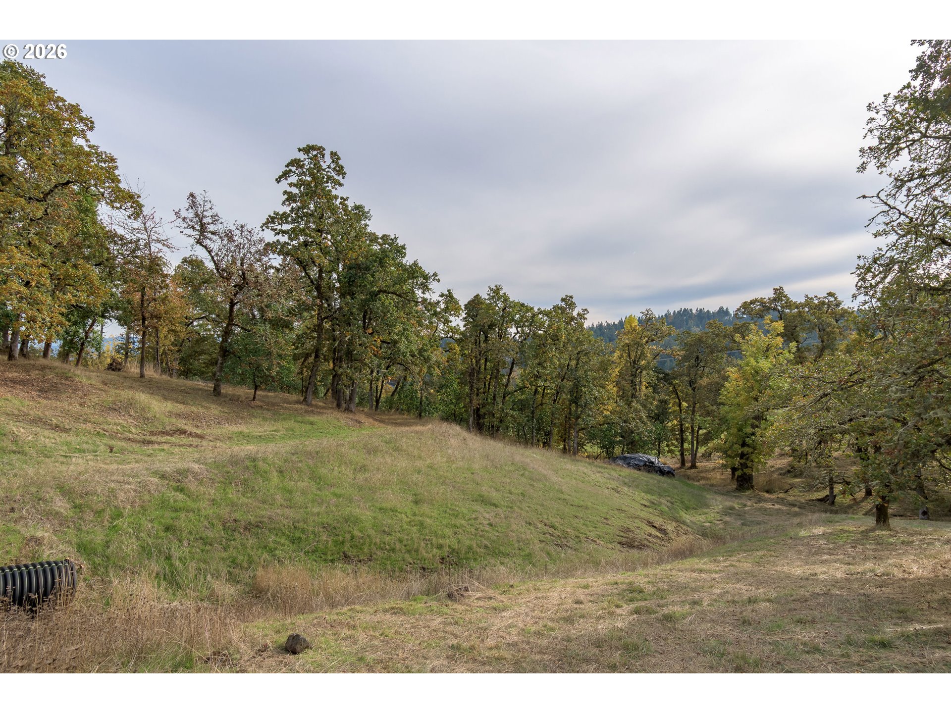 Hidden Meadows Property Photo 4
