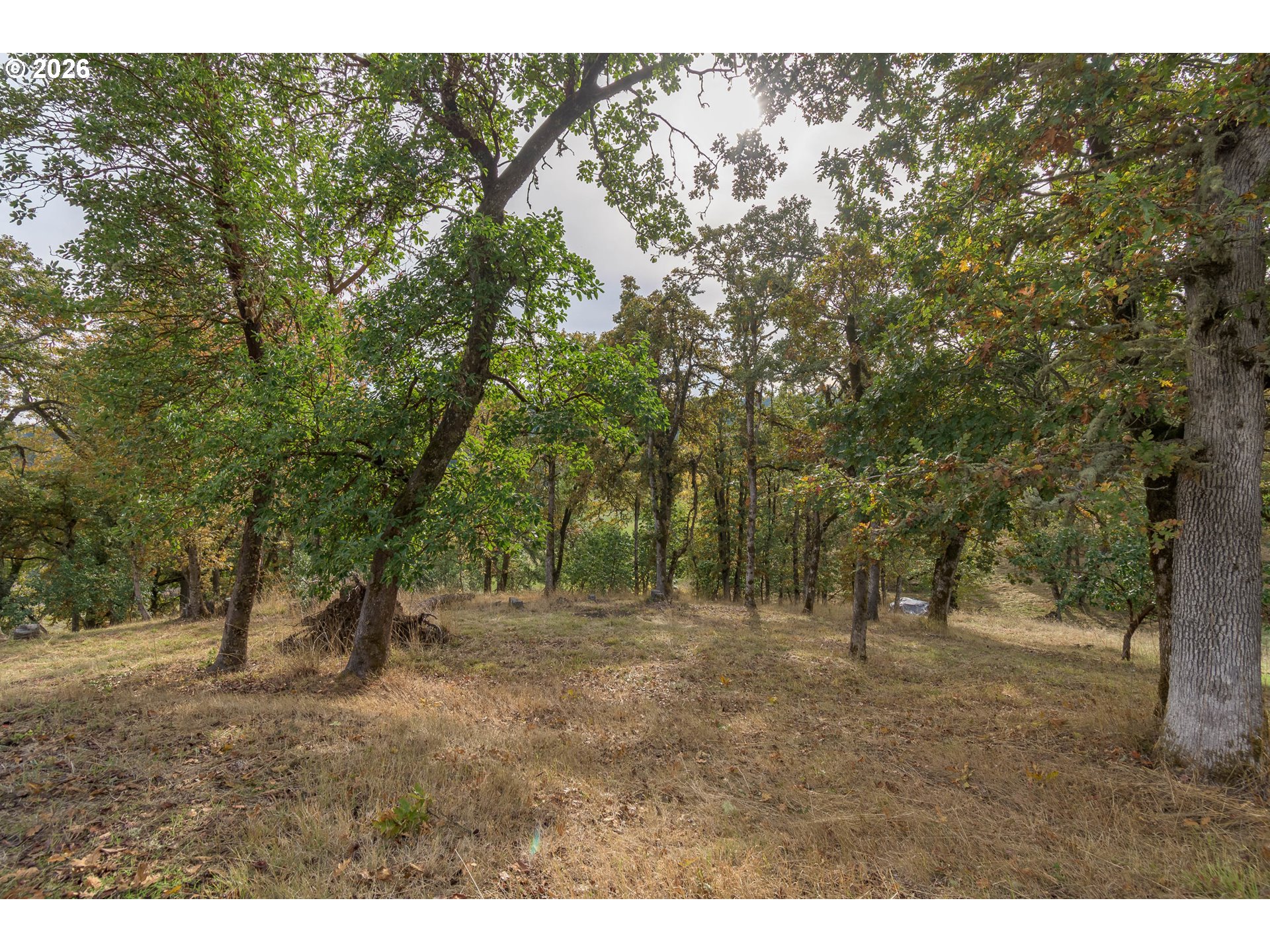 Hidden Meadows Property Photo 5