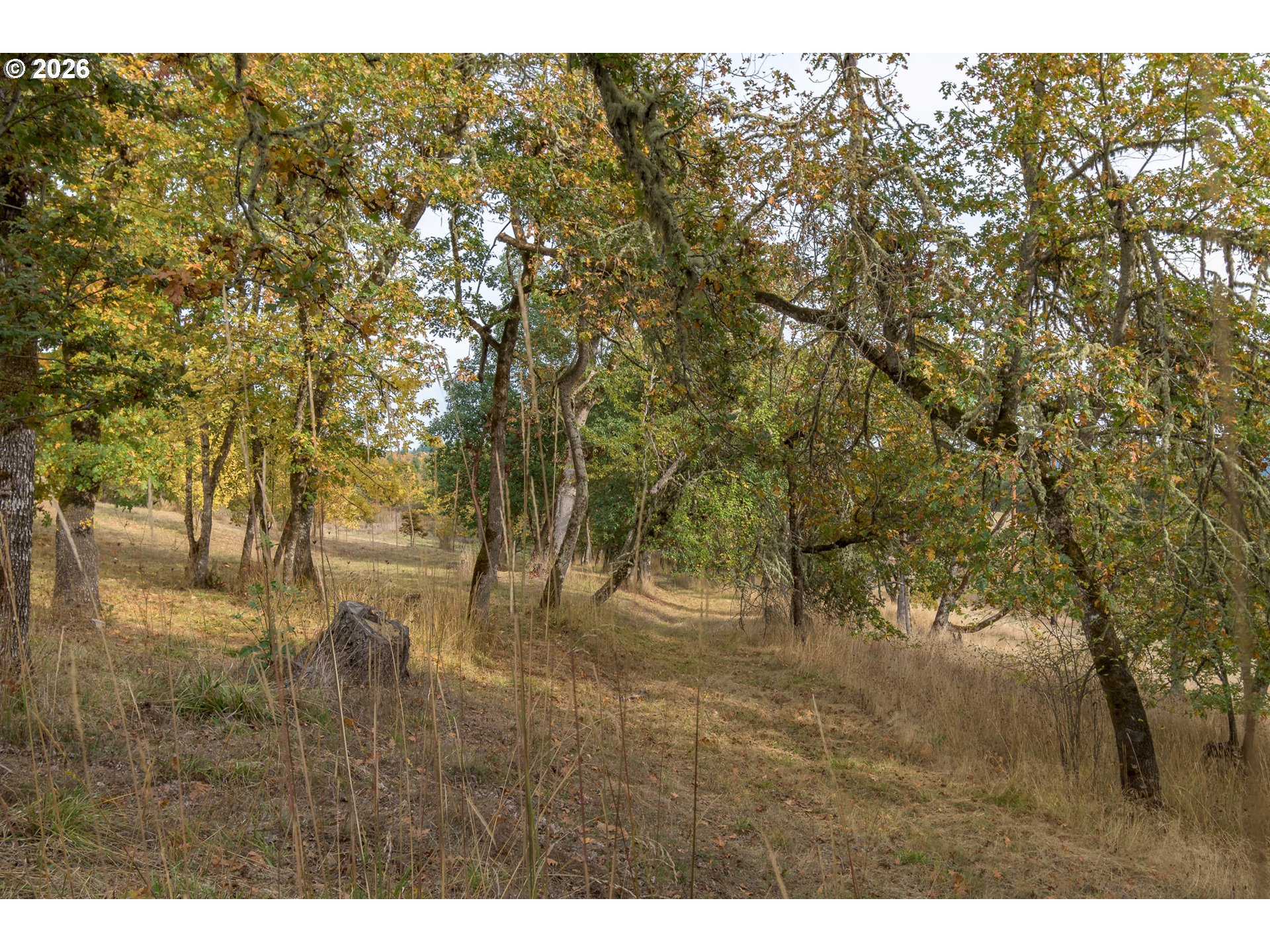 Hidden Meadows Property Photo 7
