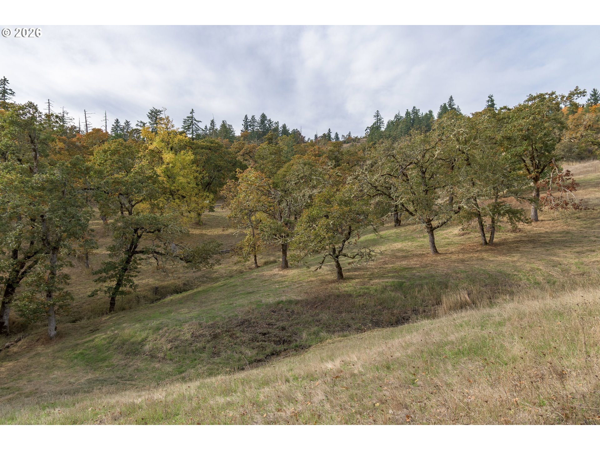 Hidden Meadows Property Photo 8