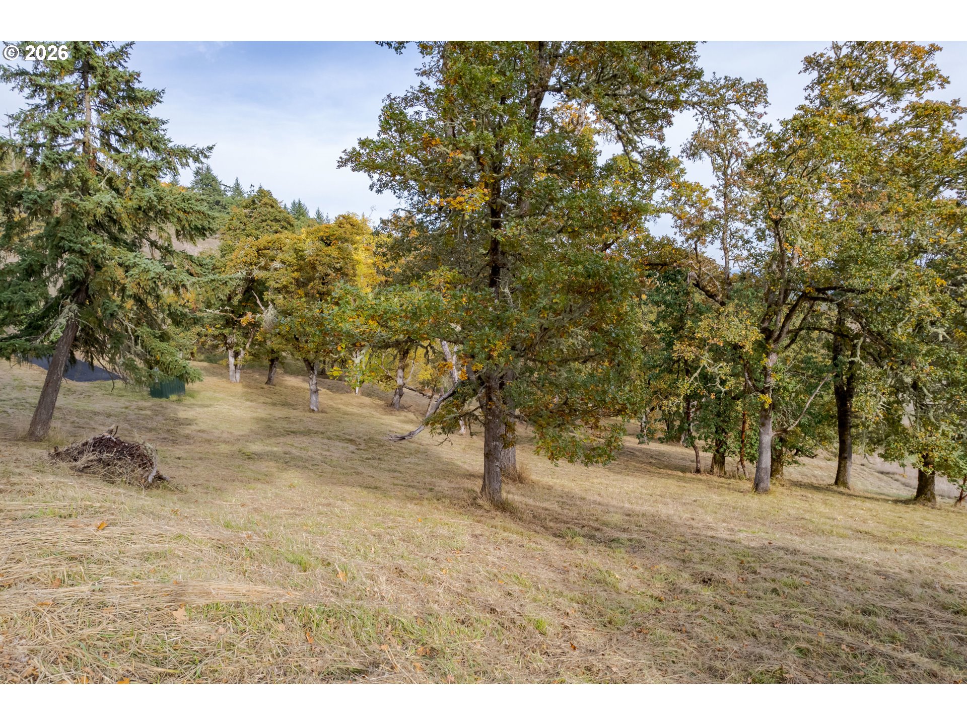 Hidden Meadows Property Photo 11