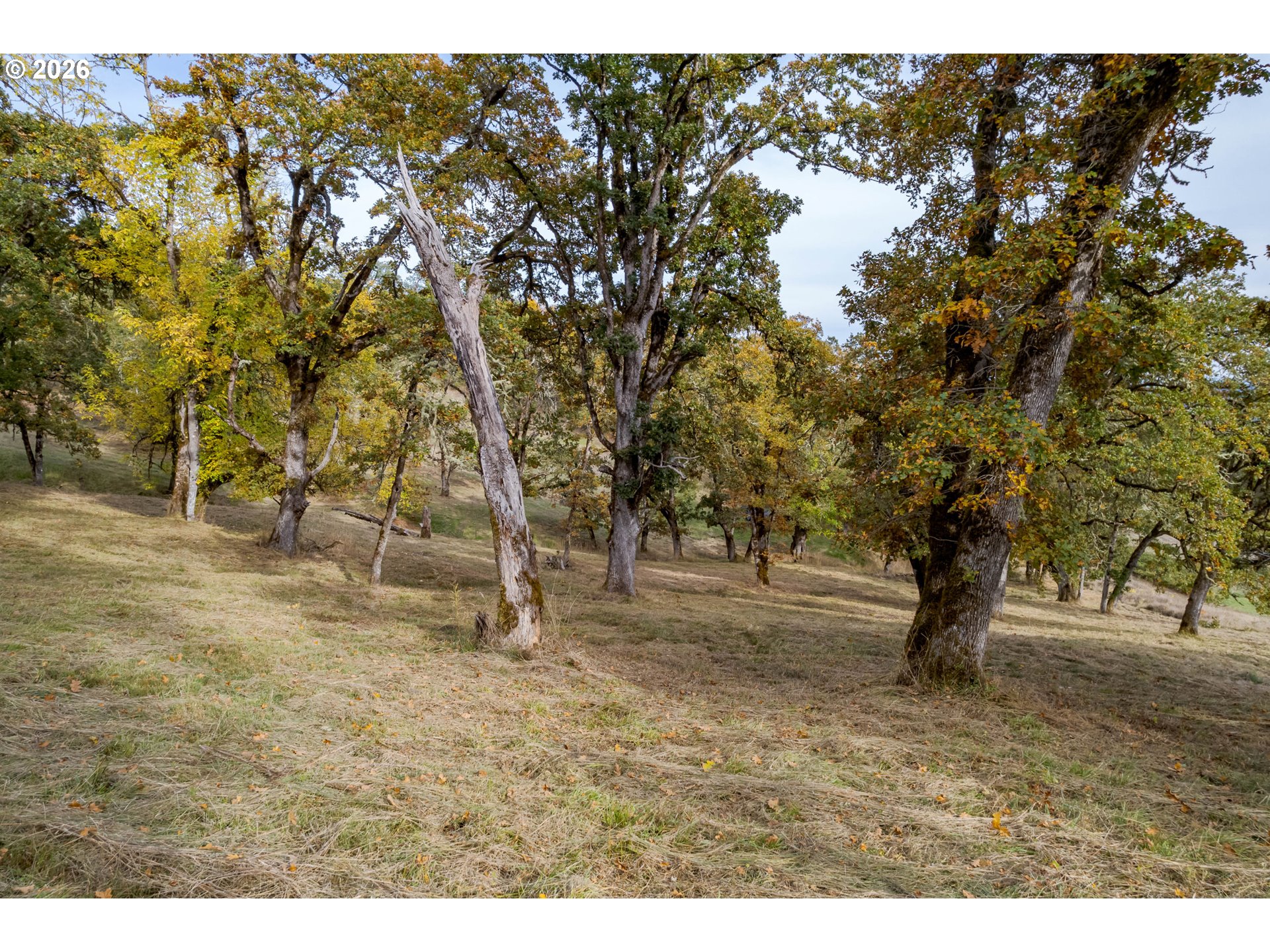 Hidden Meadows Property Photo 12