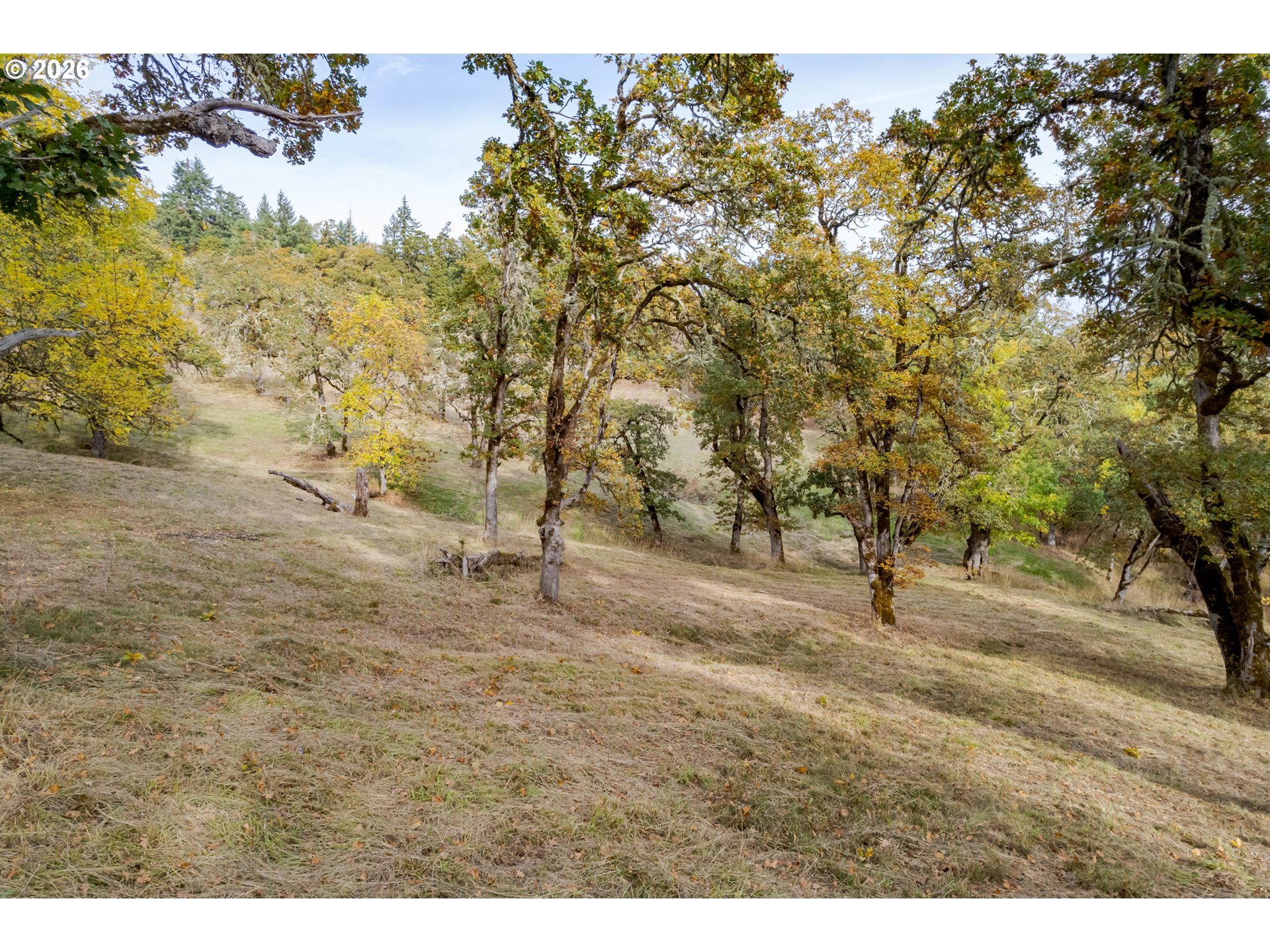 Hidden Meadows Property Photo 13