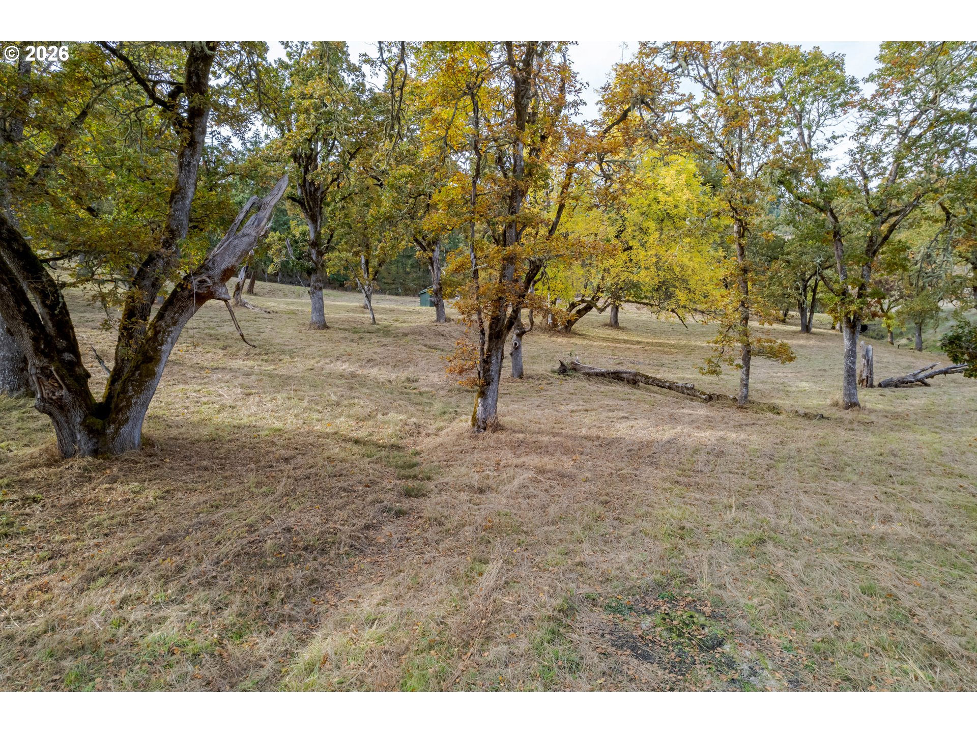 Hidden Meadows Property Photo 14