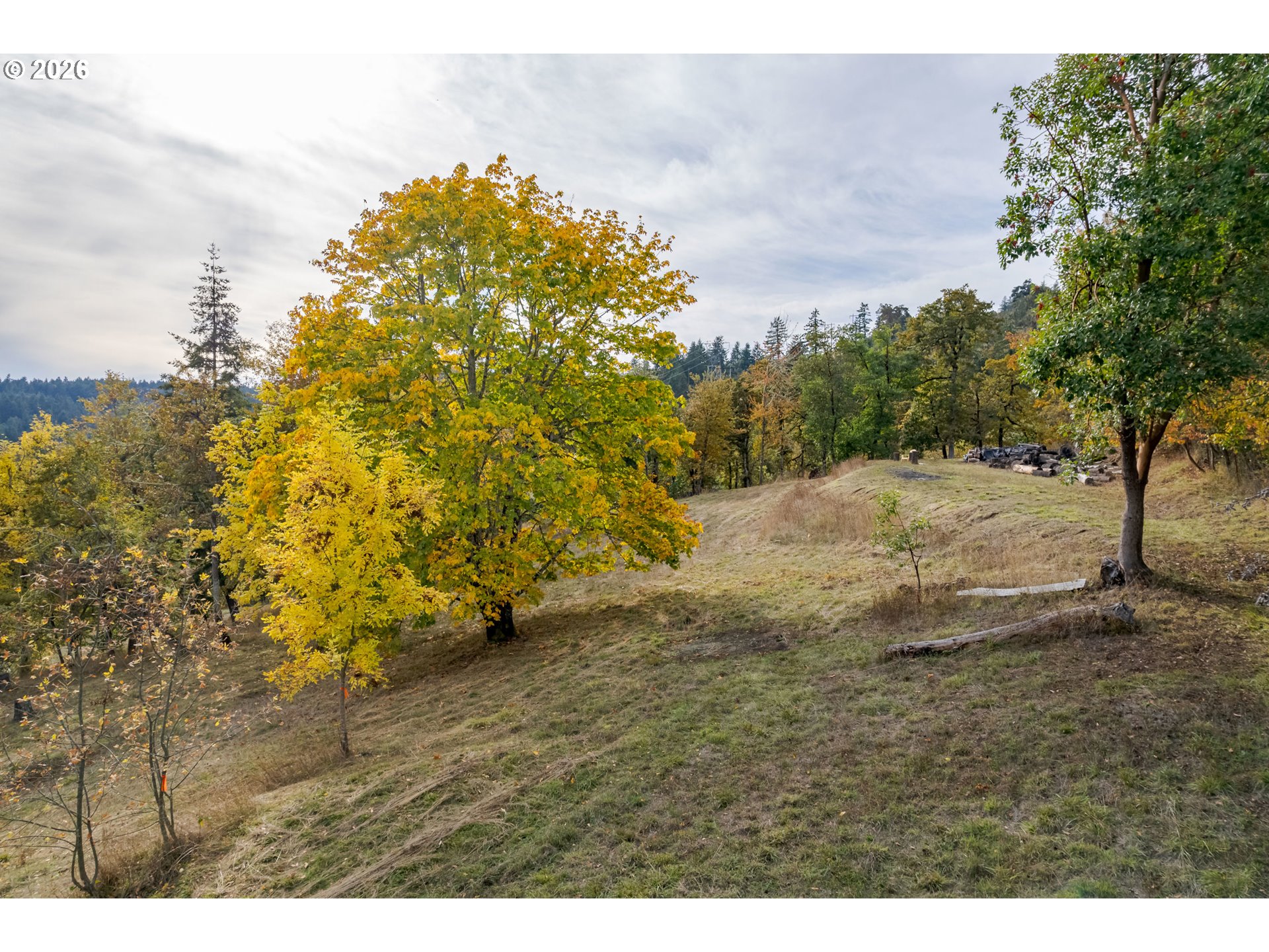 Hidden Meadows Property Photo 16