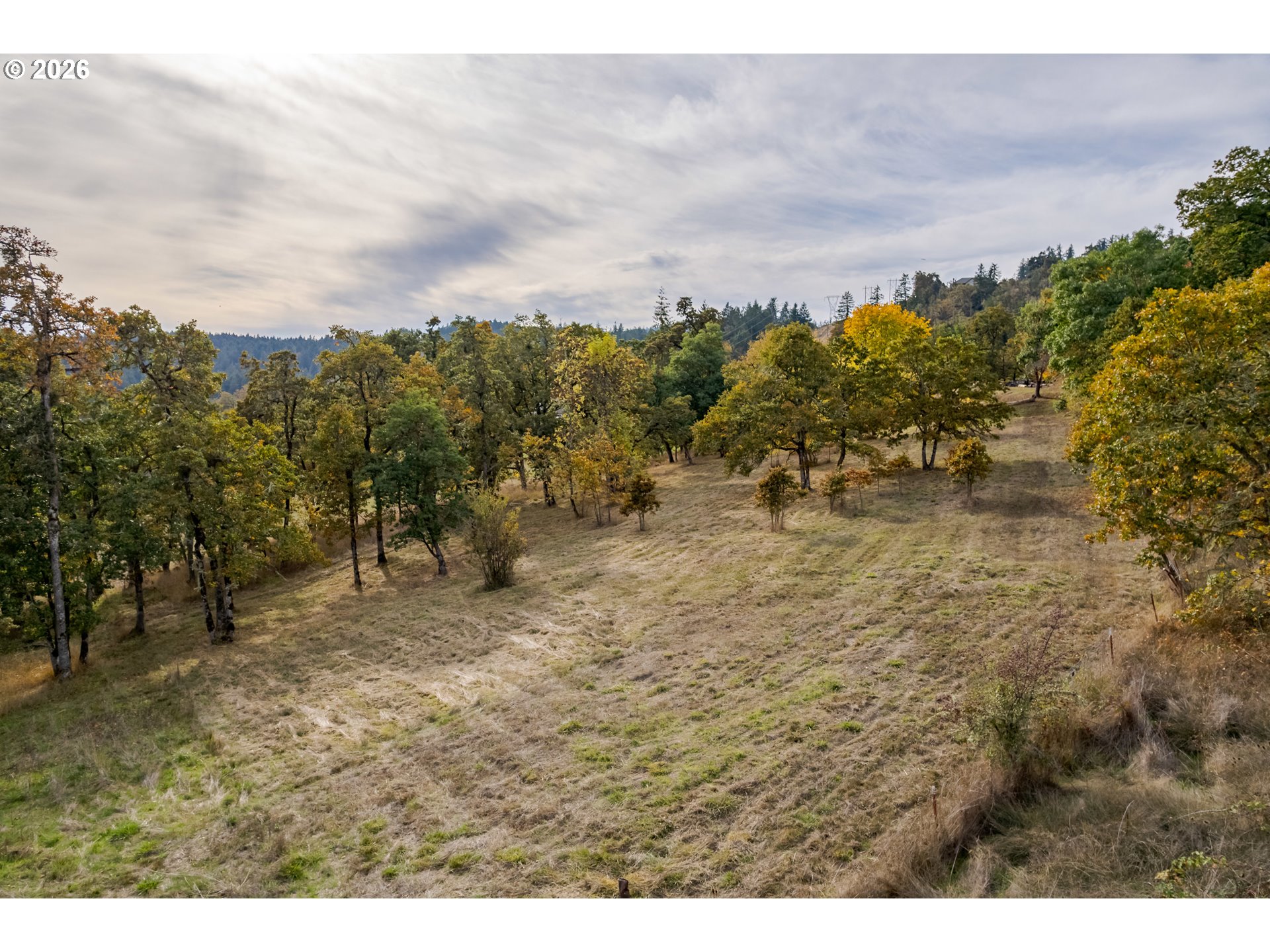 Hidden Meadows Property Photo 17