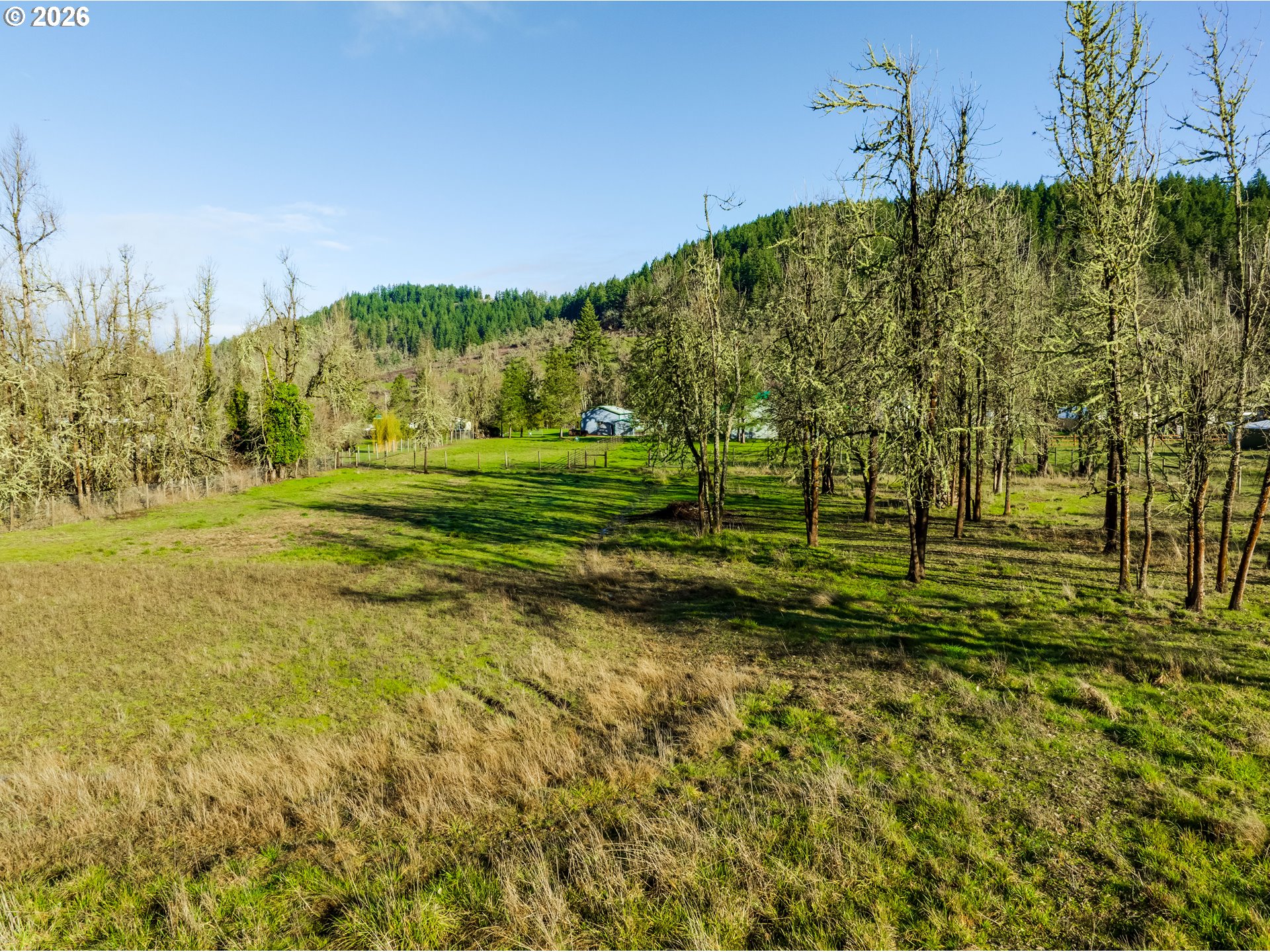 37410 Hills Creek Rd Property Photo 42