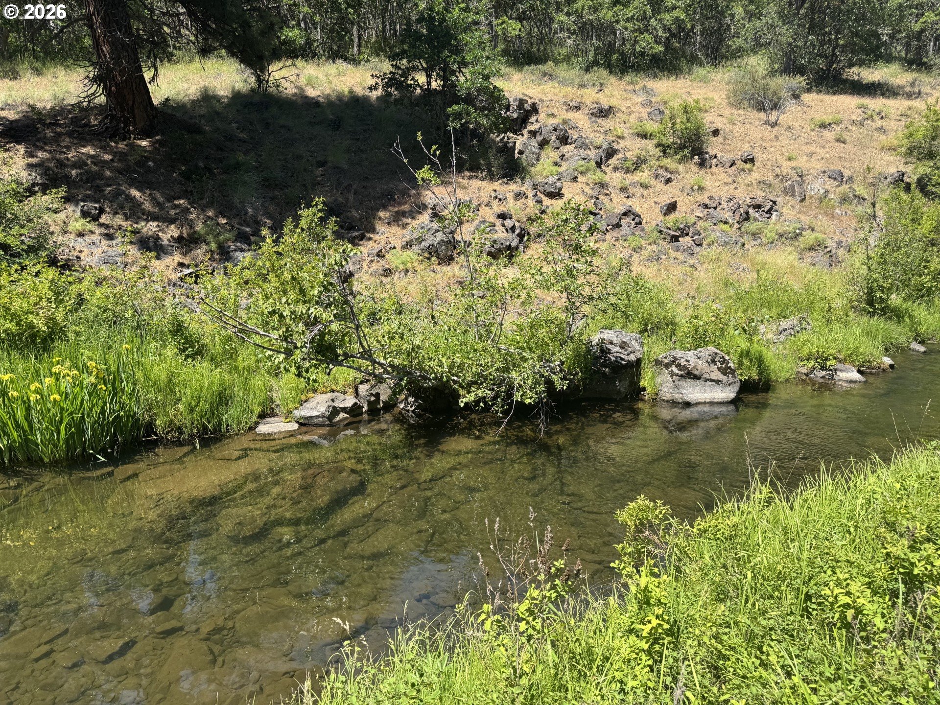 Toad Rd Property Photo 10