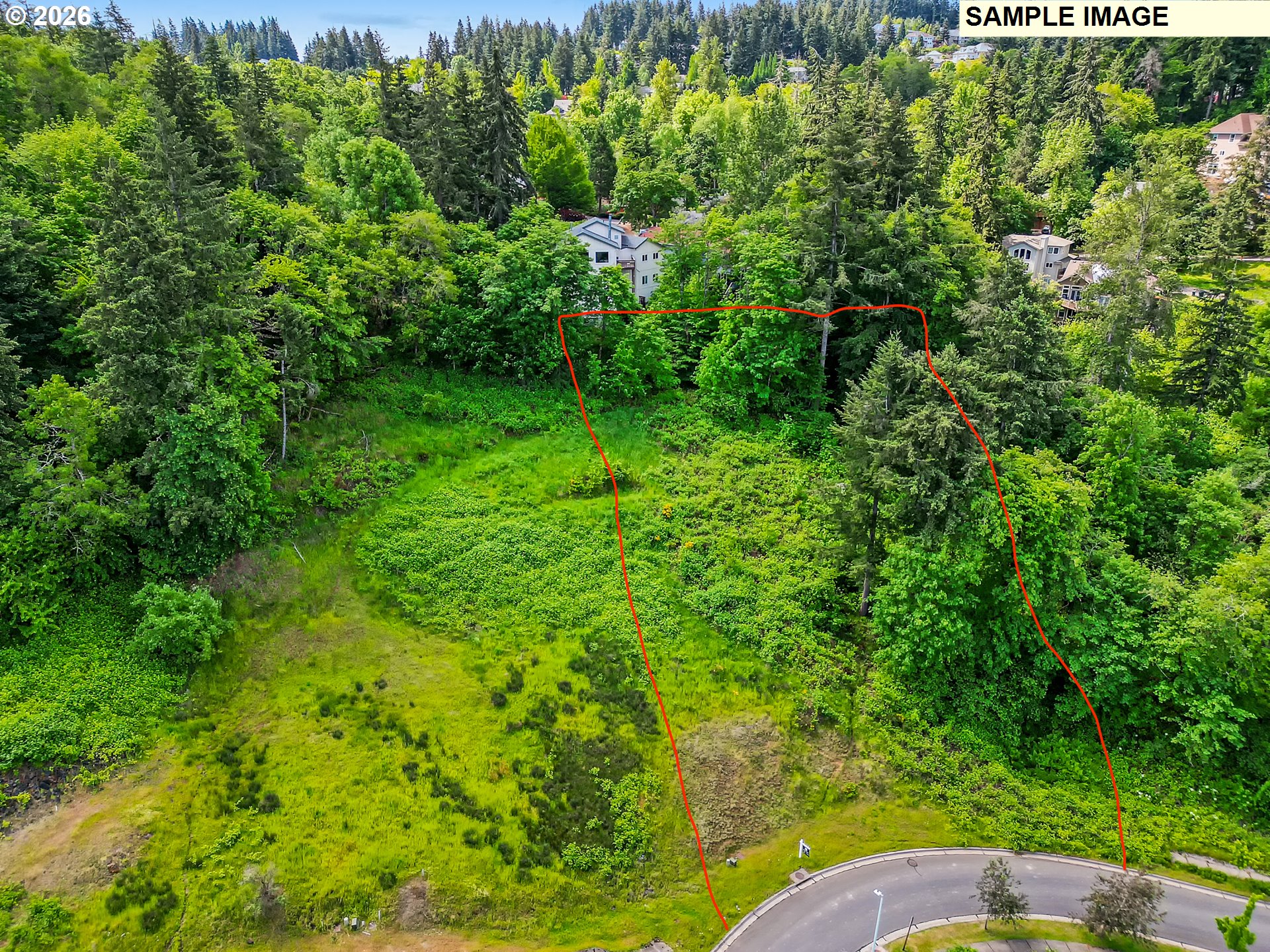 Aerie Park Pl Property Photo 2