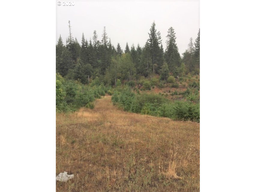 Nw Ridge Rd Property Photo 2
