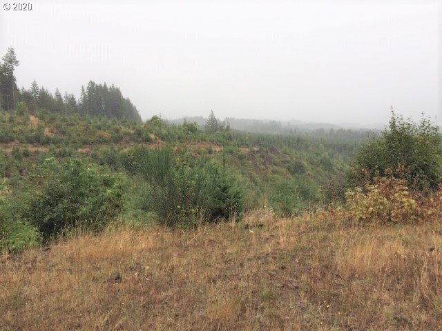 Nw Ridge Rd Property Photo 3