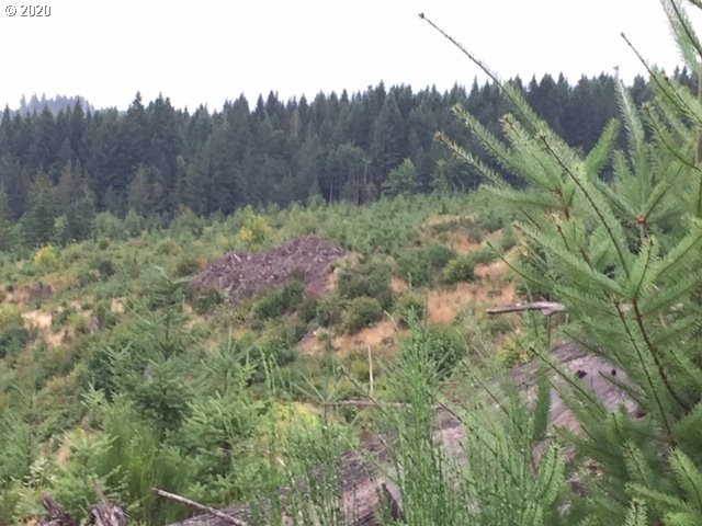Nw Ridge Rd Property Photo 5
