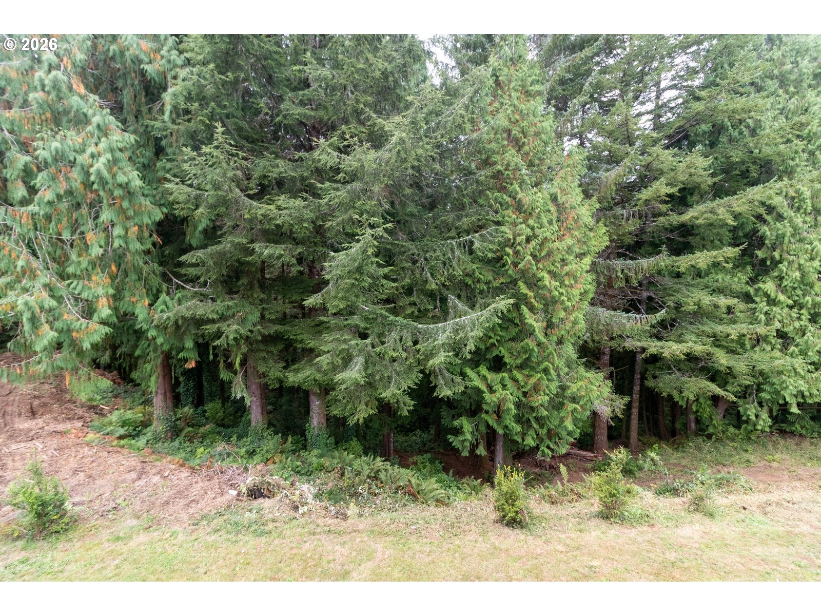 85434 Glenada Rd Property Photo 39