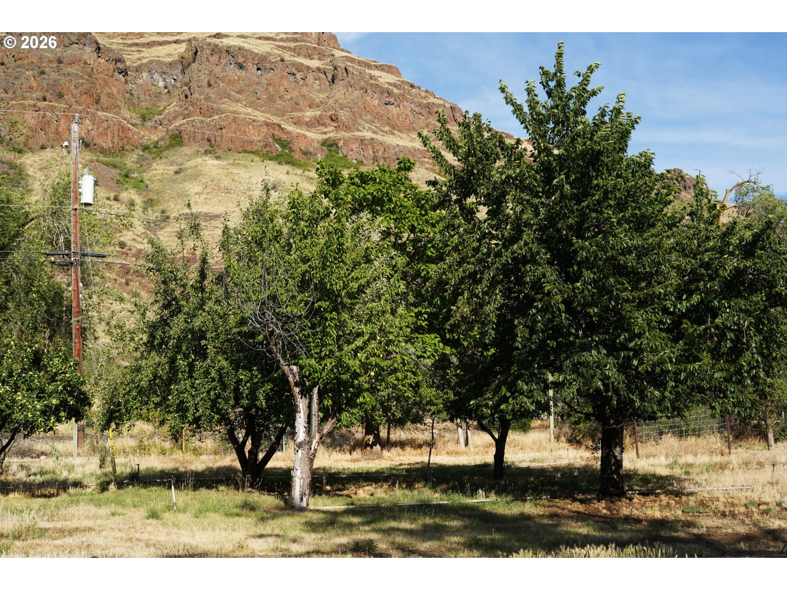 79010 Hat Point Rd Property Photo 30