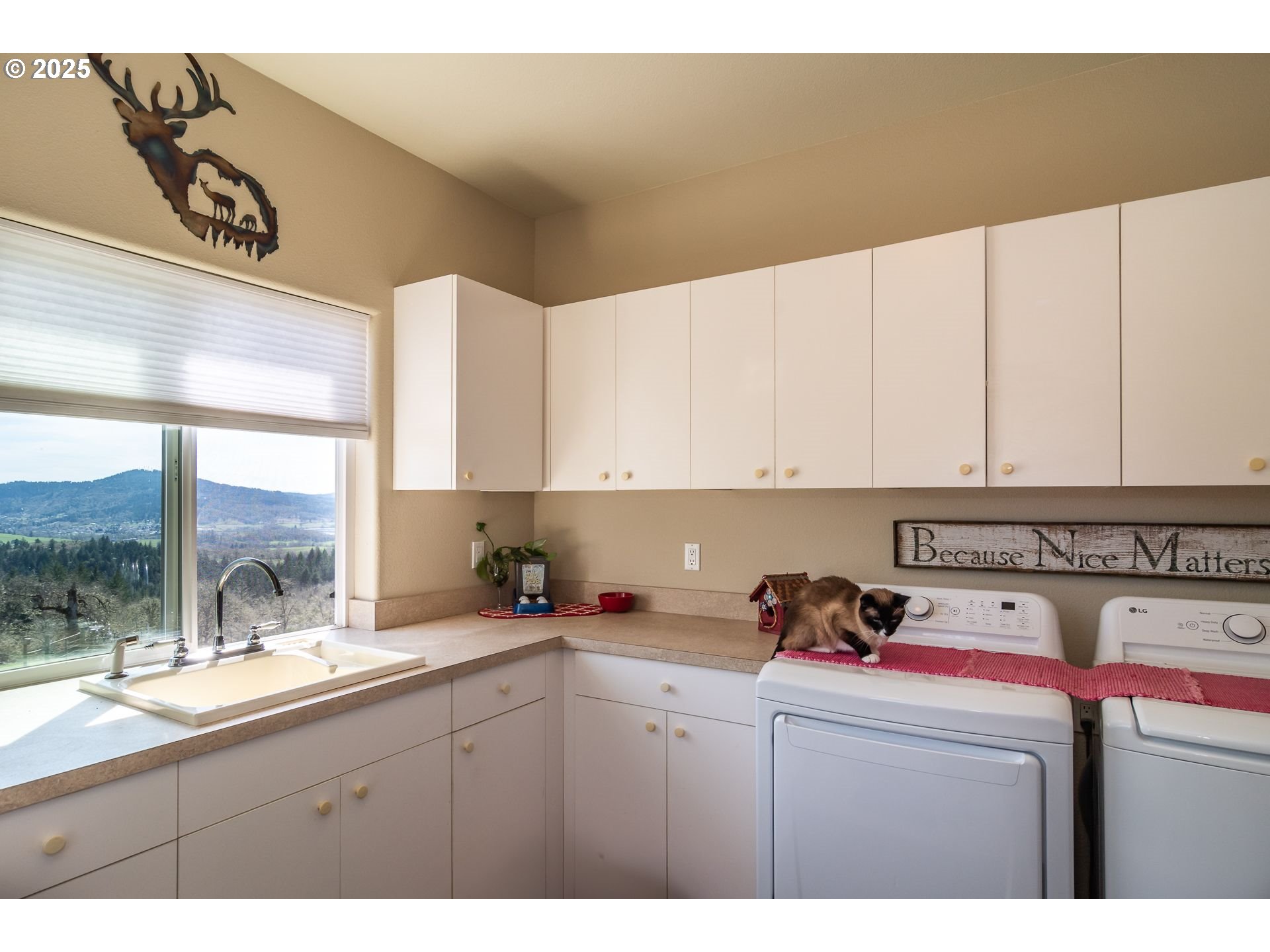 1000 Windy Mountain Ln Property Photo 14