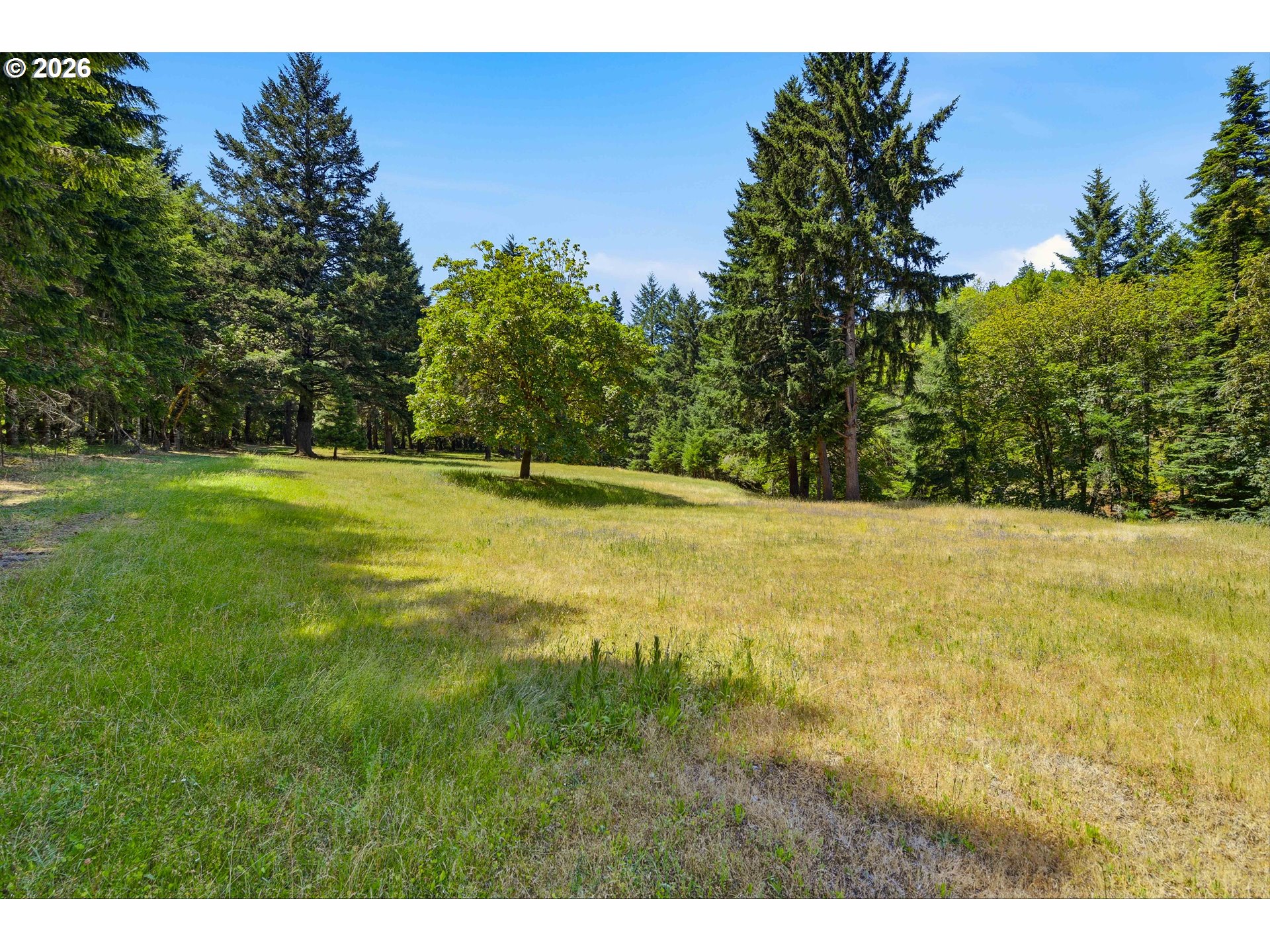 1060 Murdock Dr Property Photo 5