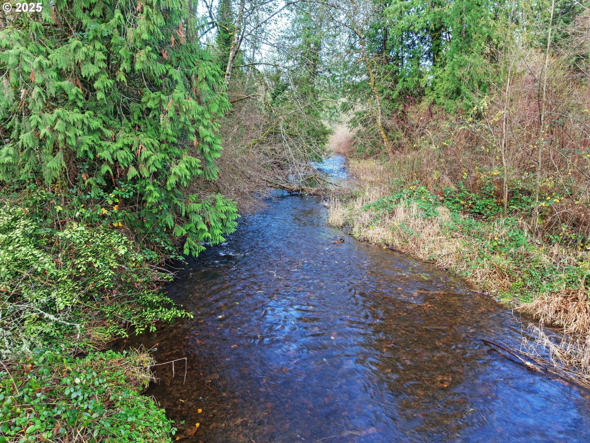 Coalman Rd Property Photo 17