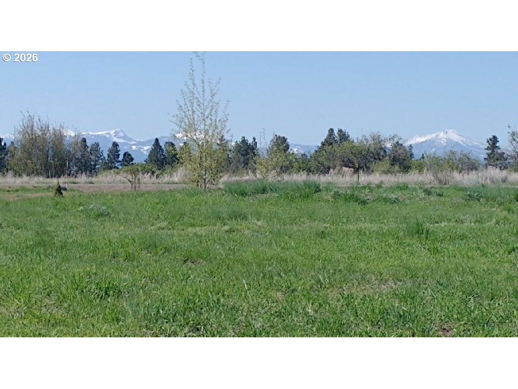 Glen Dr Property Photo 8
