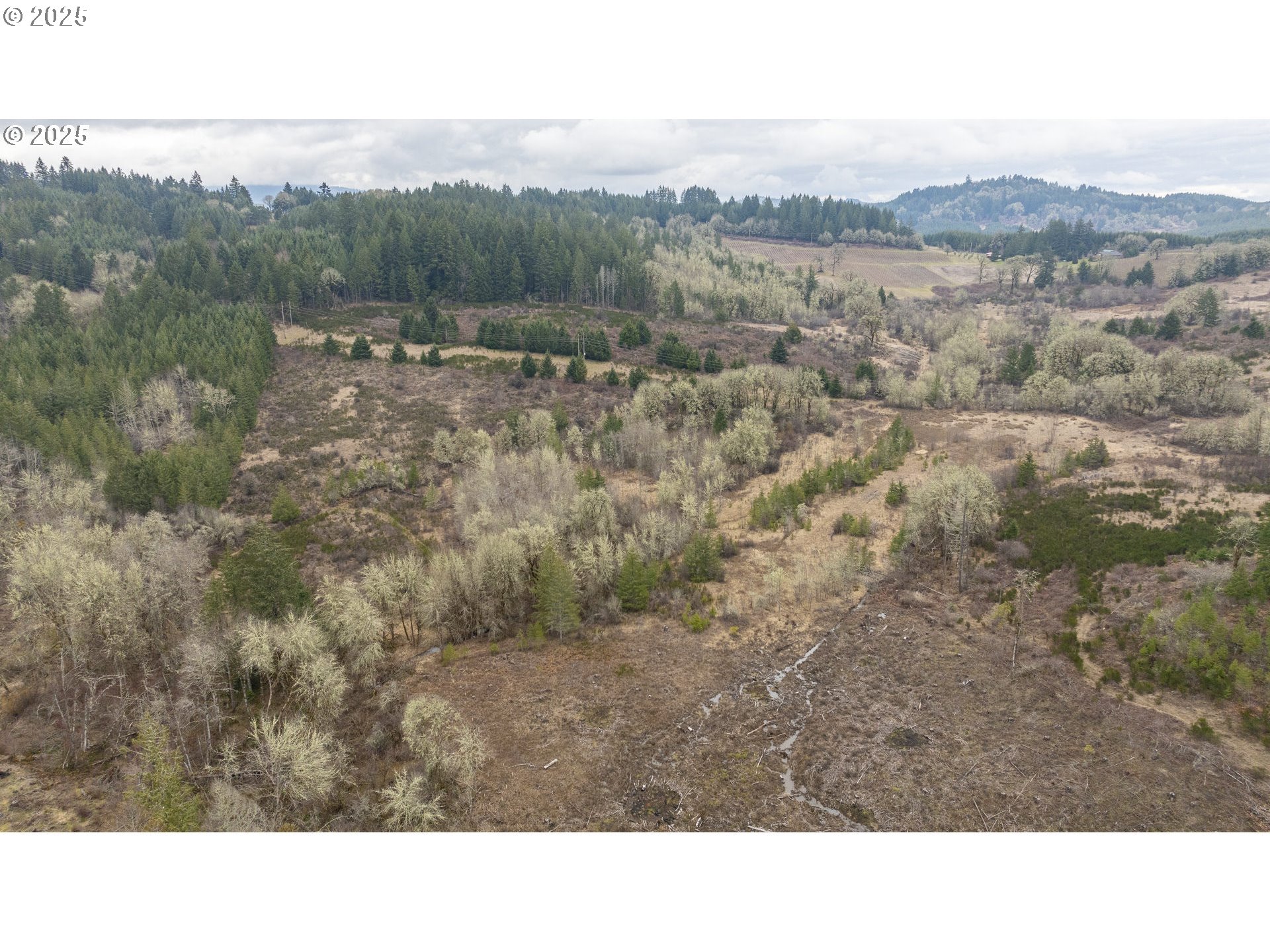 0 Nw Panther Creek Property Photo 16
