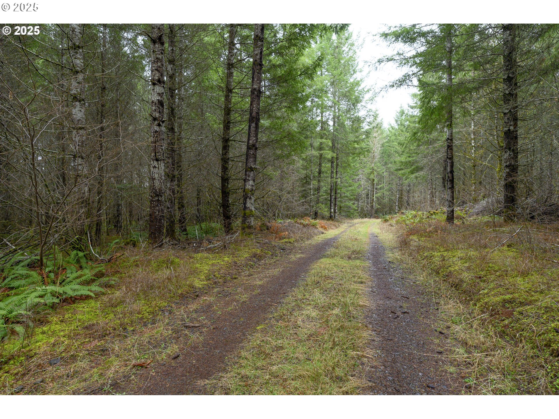 0 Nw Panther Creek Property Photo 18