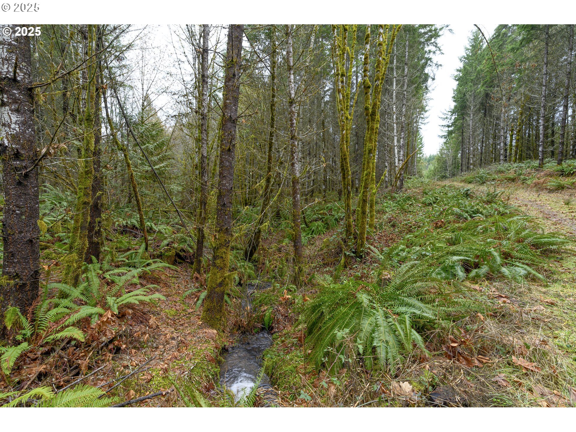 0 Nw Panther Creek Property Photo 19