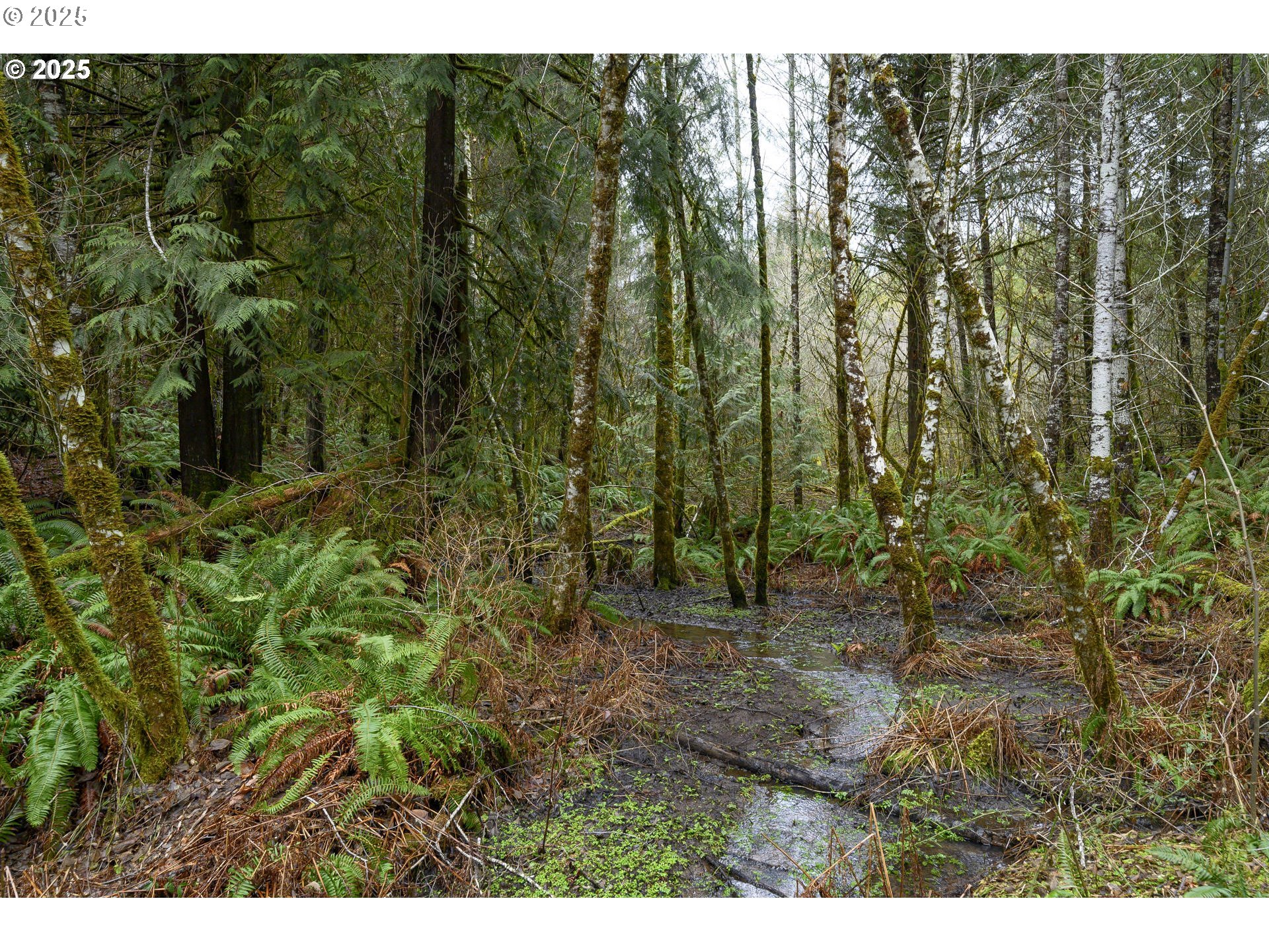 0 Nw Panther Creek Property Photo 20