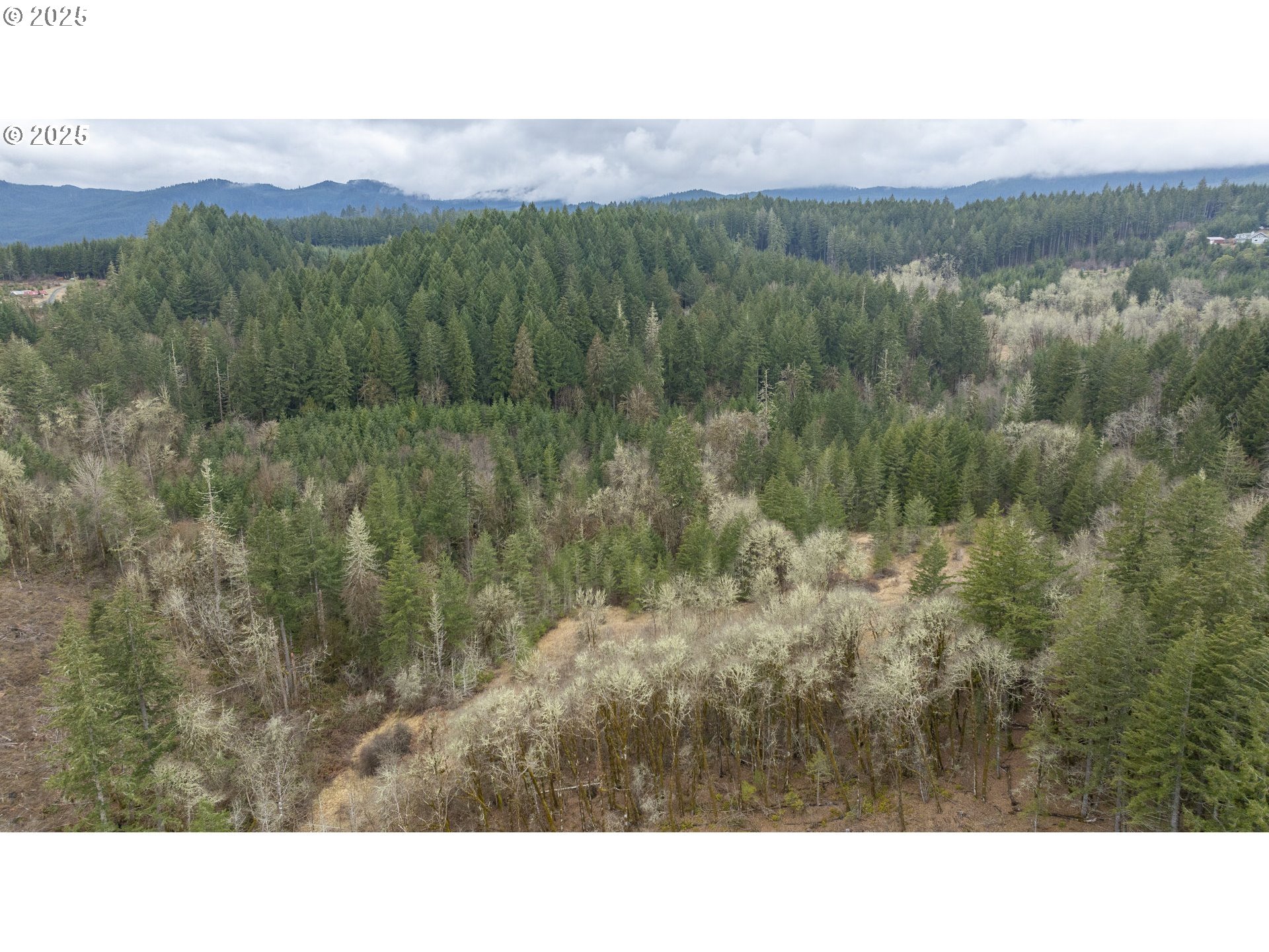 0 Nw Panther Creek Property Photo 25