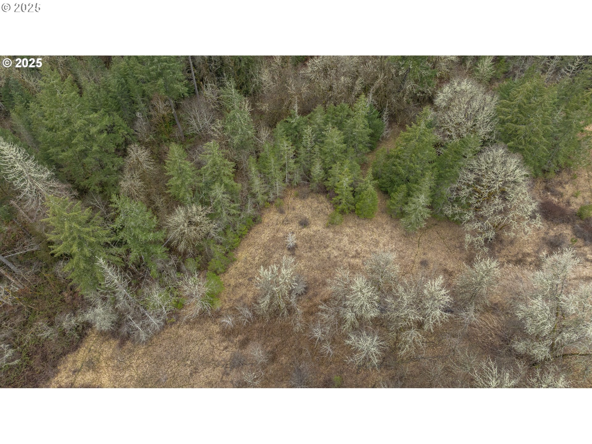 0 Nw Panther Creek Property Photo 26
