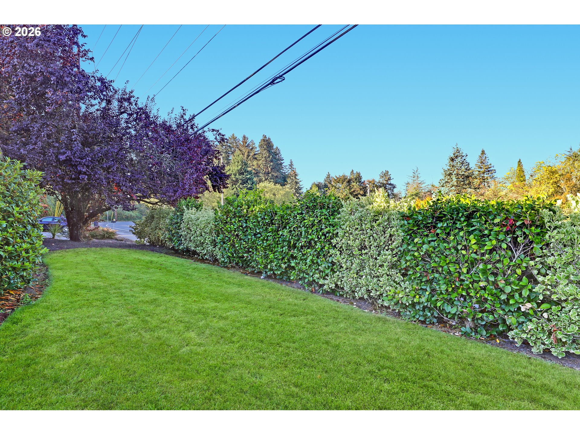 6820 Sw Dover St Property Photo 23