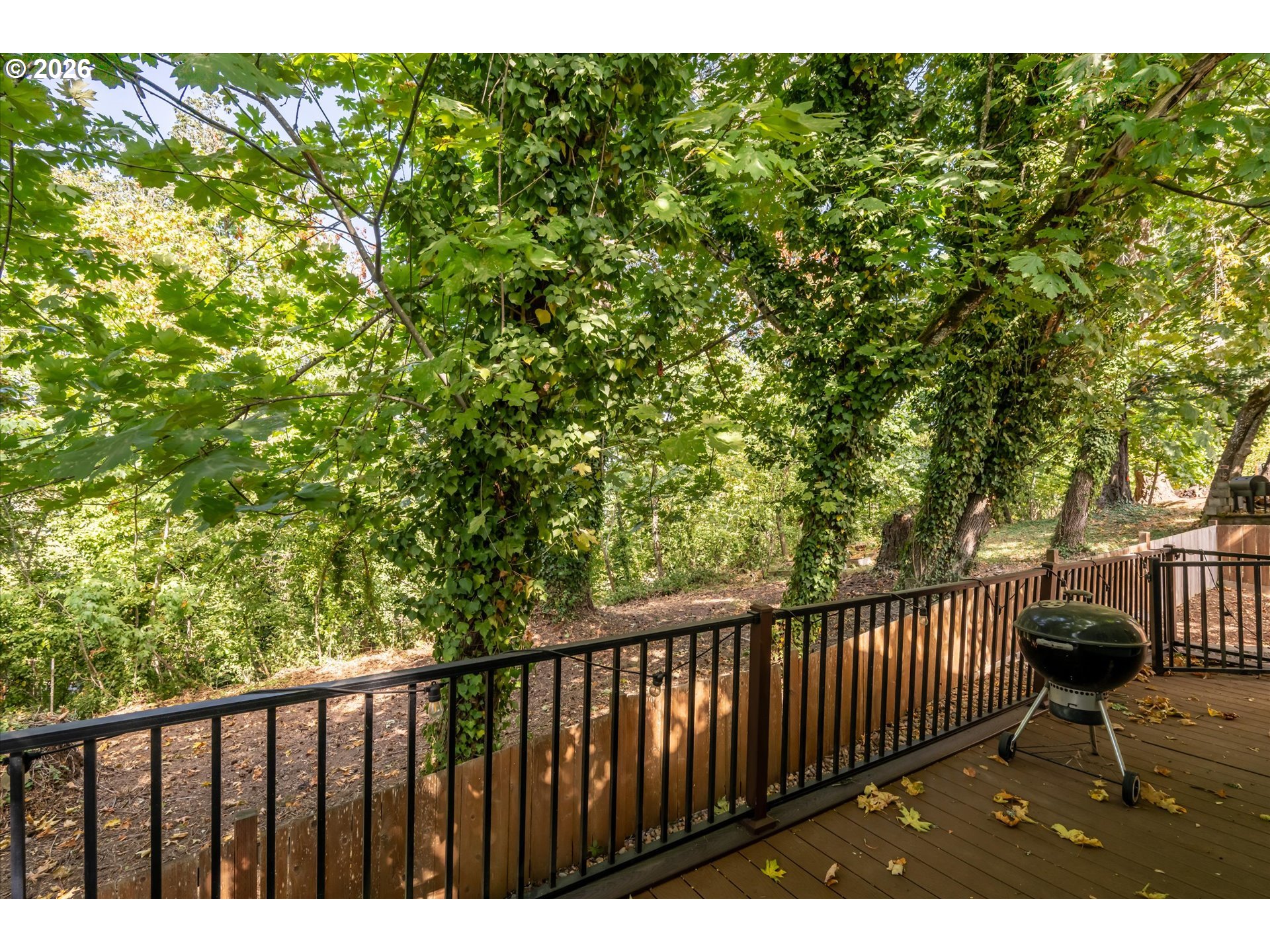 4868 Glacier Dr Property Photo 28