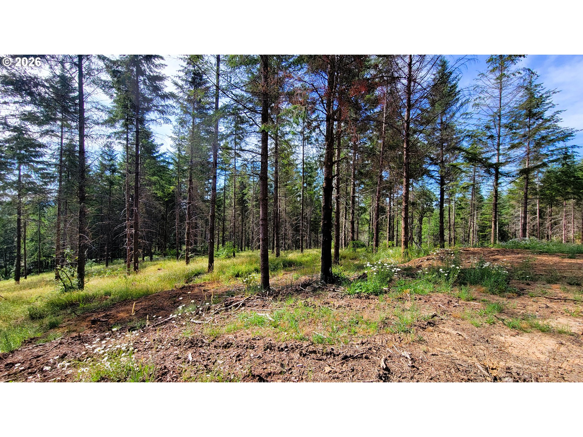 Northill Ranch Rd 108 Property Photo 6