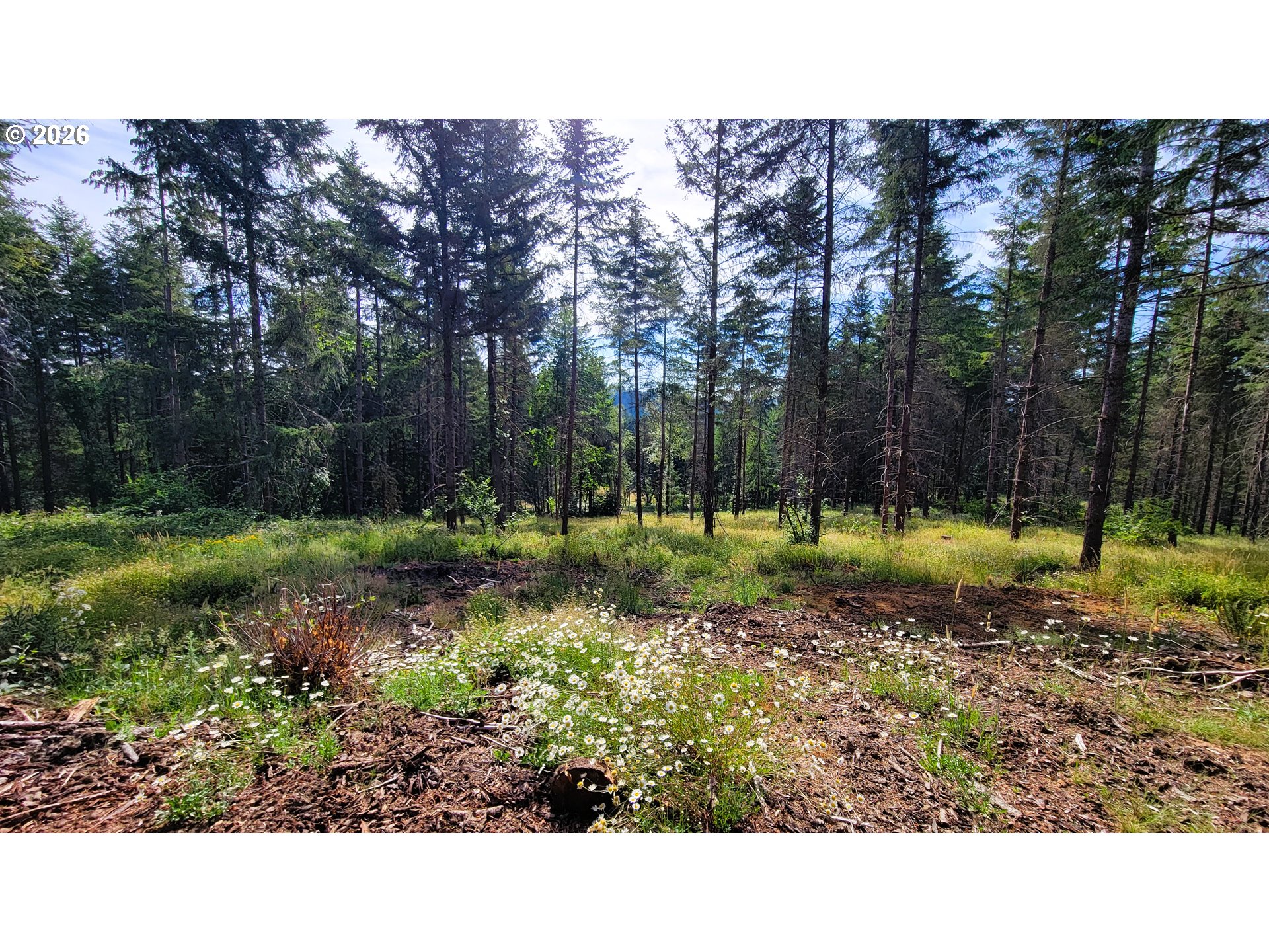 Northill Ranch Rd 108 Property Photo 8