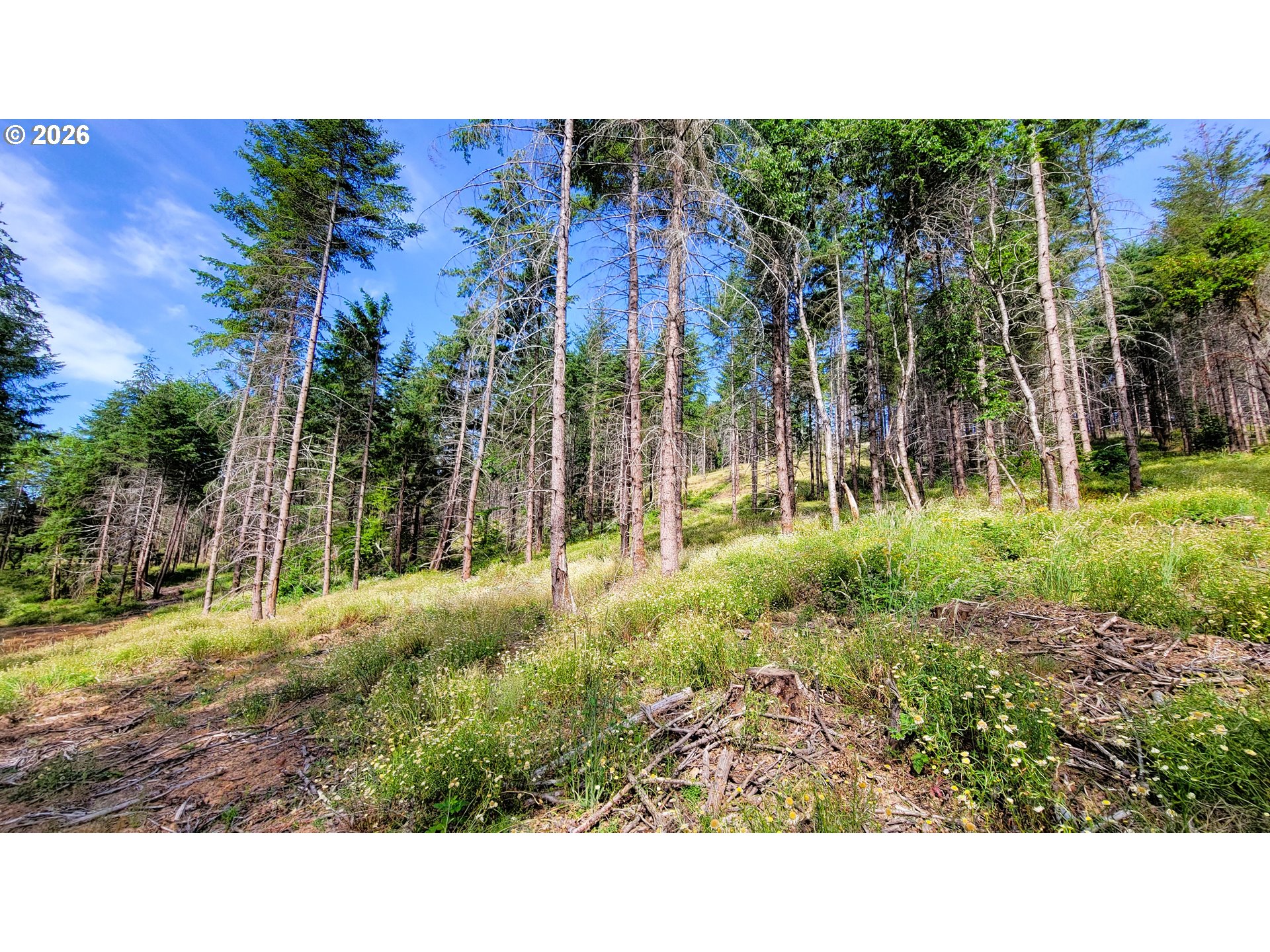 Northill Ranch Rd 108 Property Photo 9