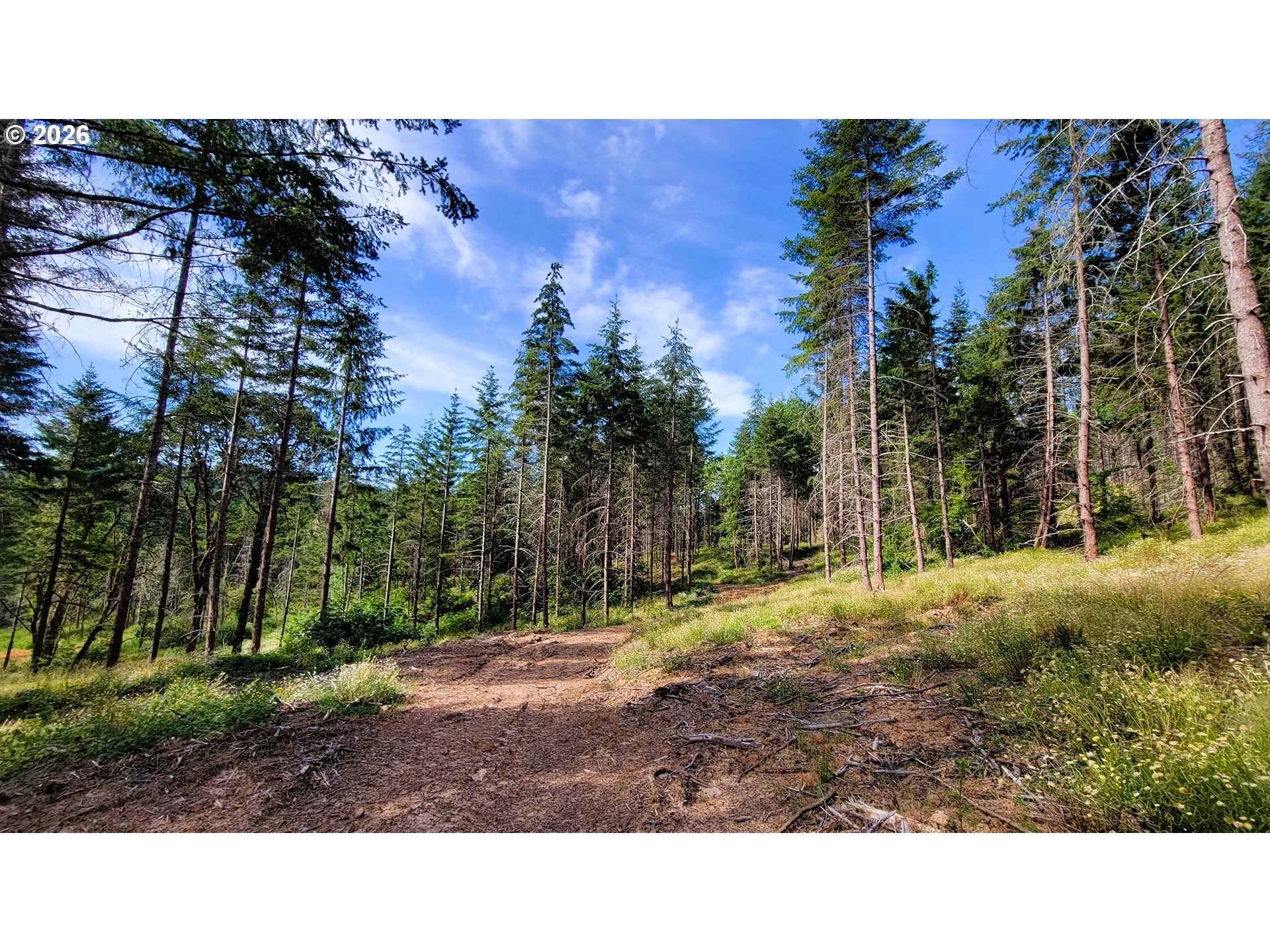Northill Ranch Rd 108 Property Photo 10