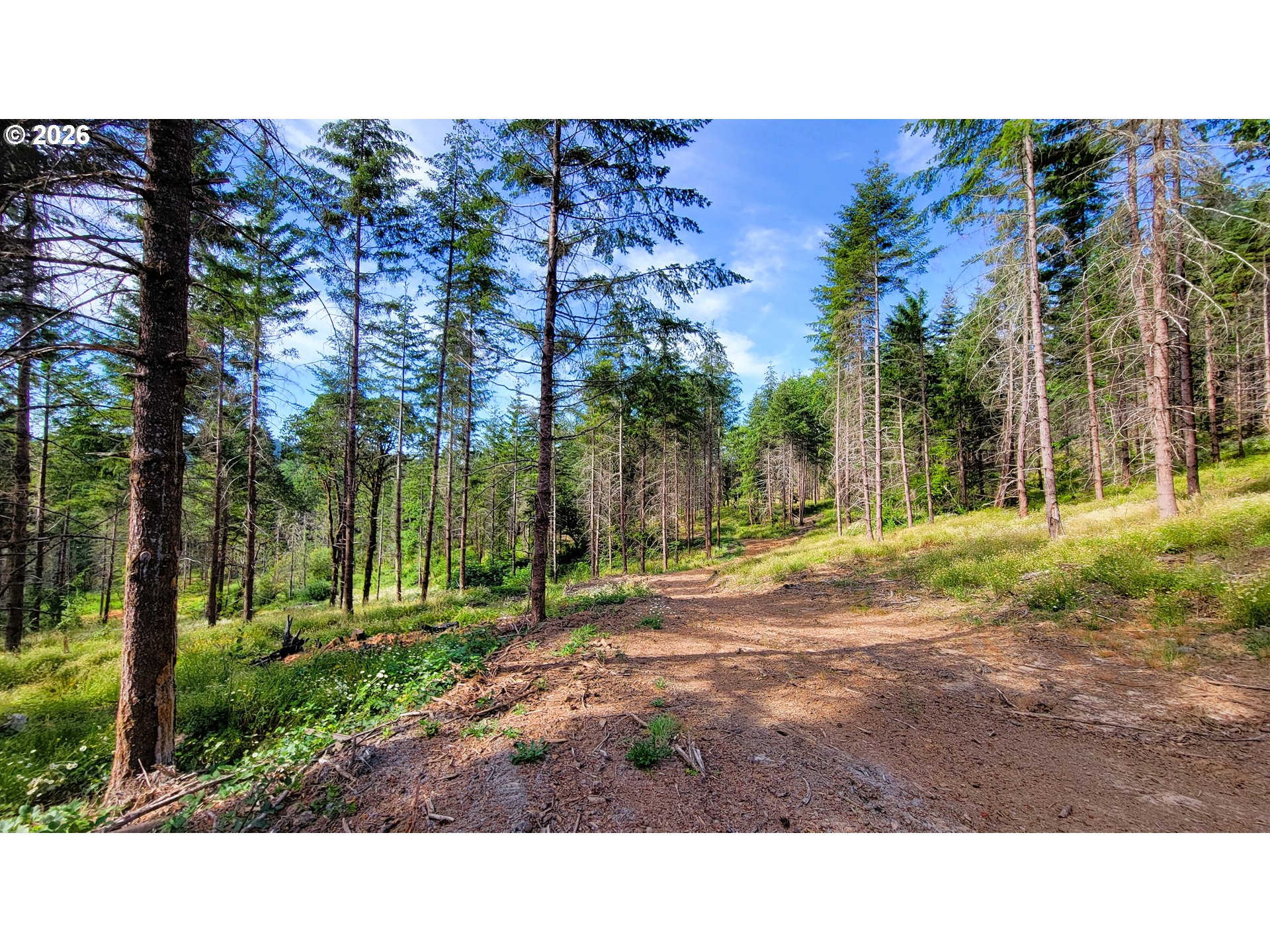 Northill Ranch Rd 108 Property Photo 11