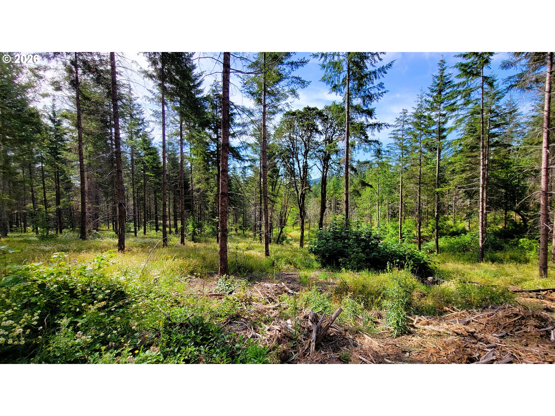Northill Ranch Rd 108 Property Photo 12