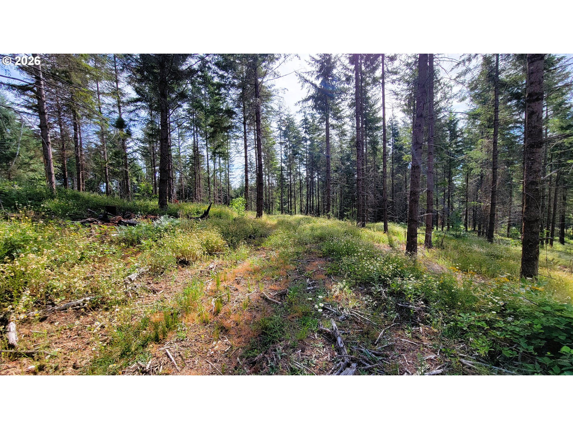 Northill Ranch Rd 108 Property Photo 13