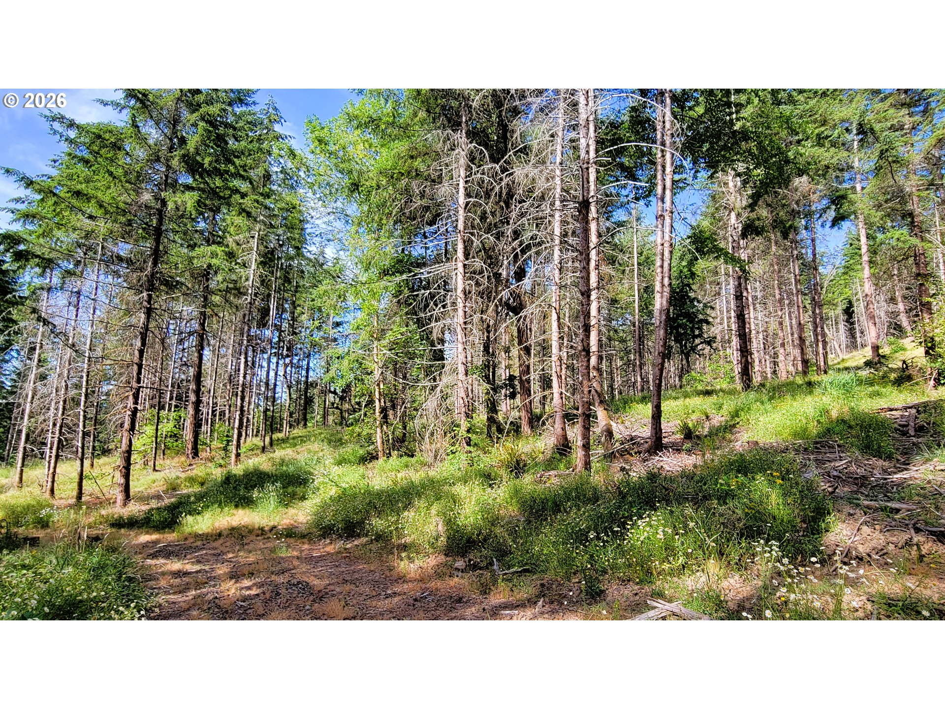 Northill Ranch Rd 108 Property Photo 14