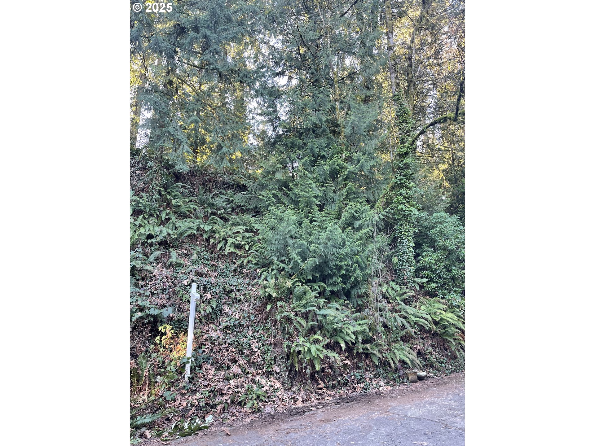 Sw Champlain Dr Property Photo 1